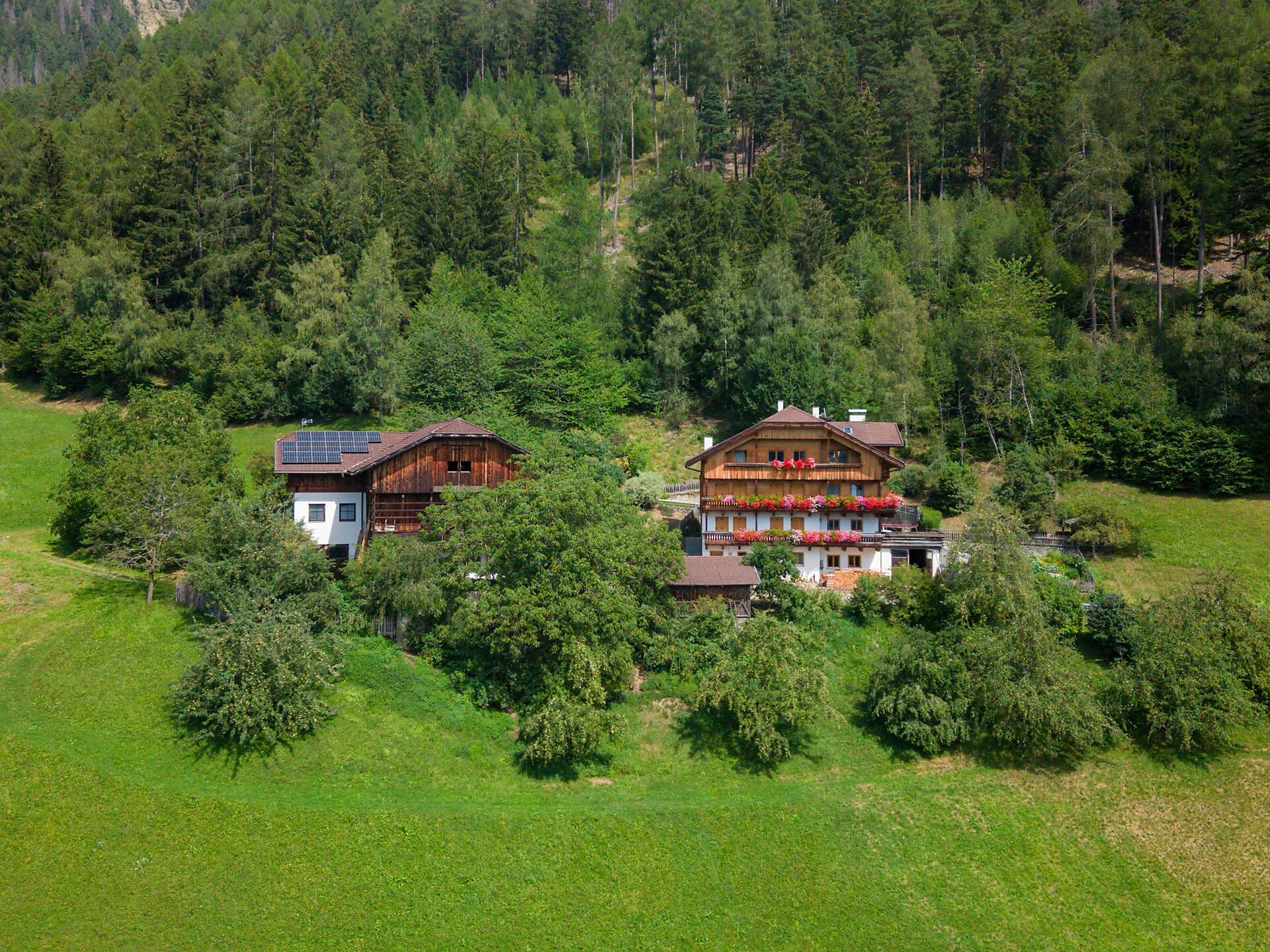 Ferienwohnungen Gedrarzerhof - Dolomitenregion Lüsen Villnöss - #1 - suedtirol.info