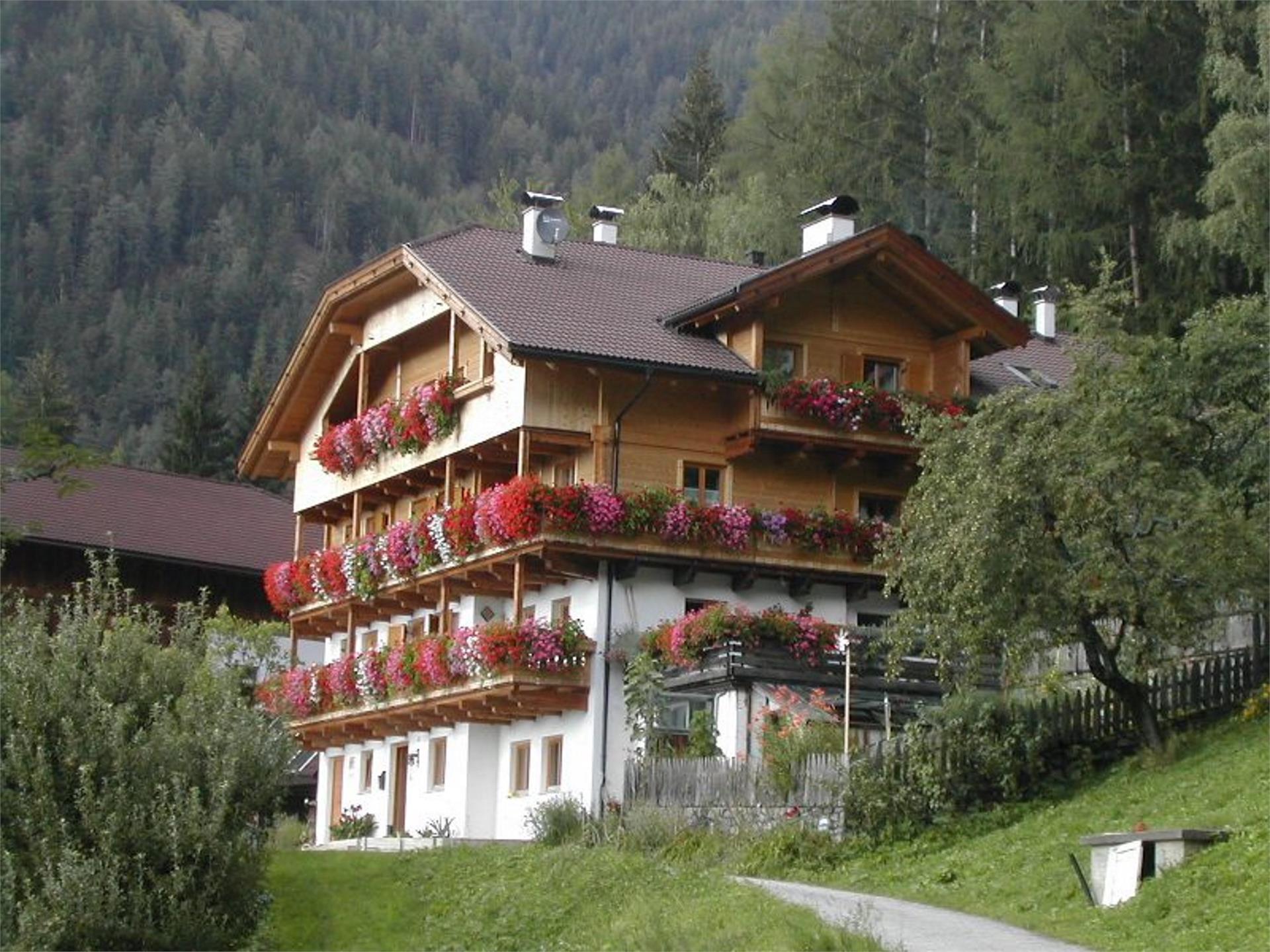 Ferienwohnungen Gedrarzerhof Lüsen 1 suedtirol.info