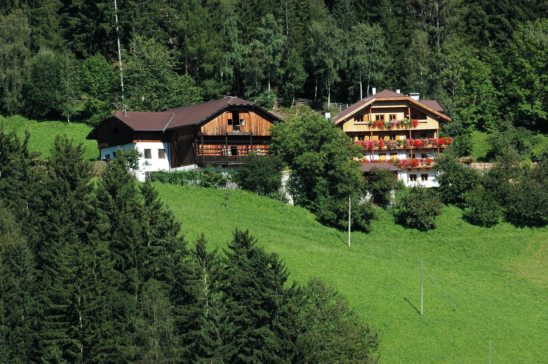 Gedrarzerhof