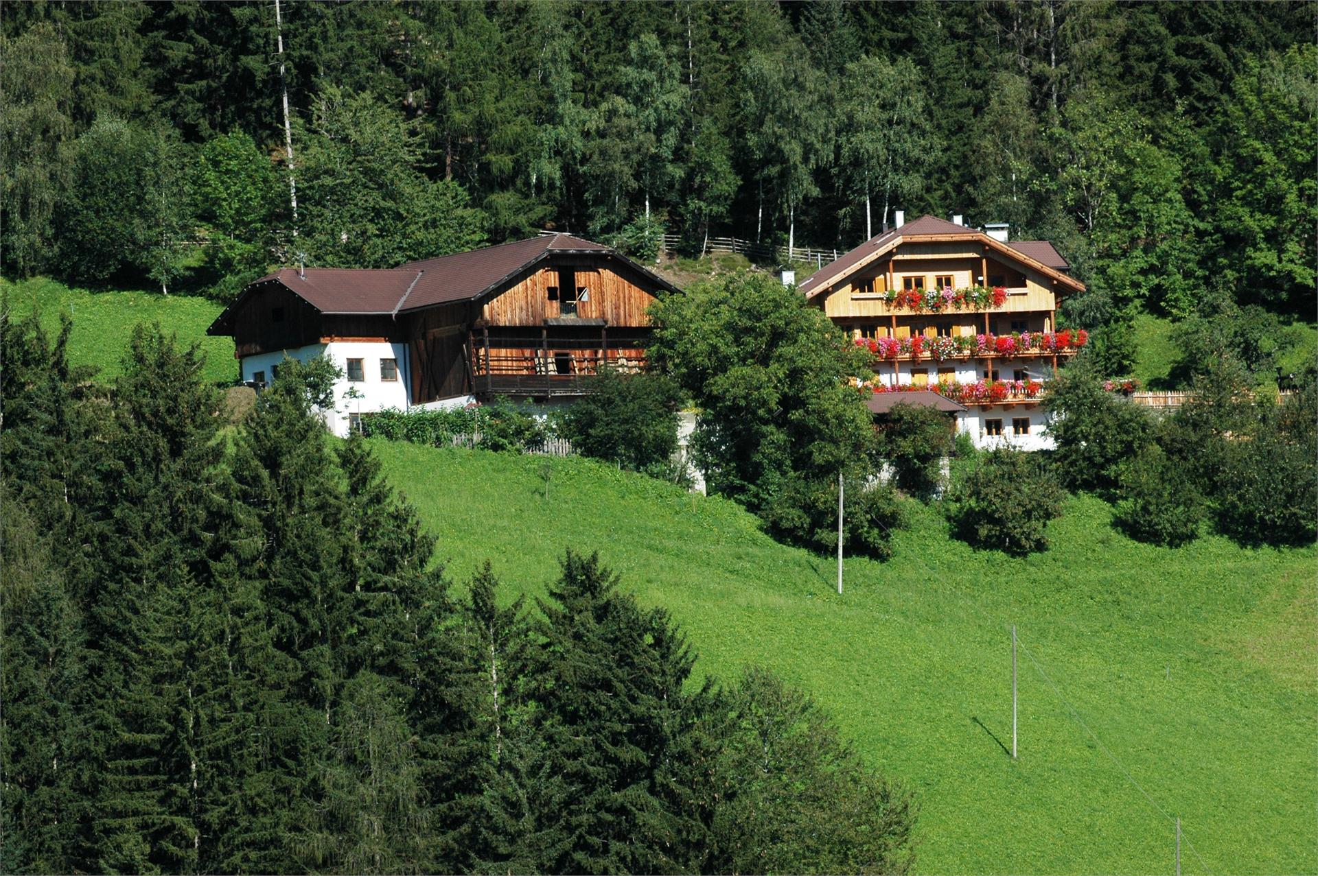 Ferienwohnungen Gedrarzerhof Lüsen 5 suedtirol.info