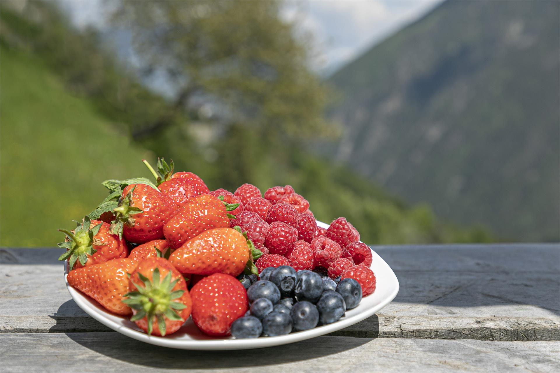 Appartamenti Berghof Martello 23 suedtirol.info
