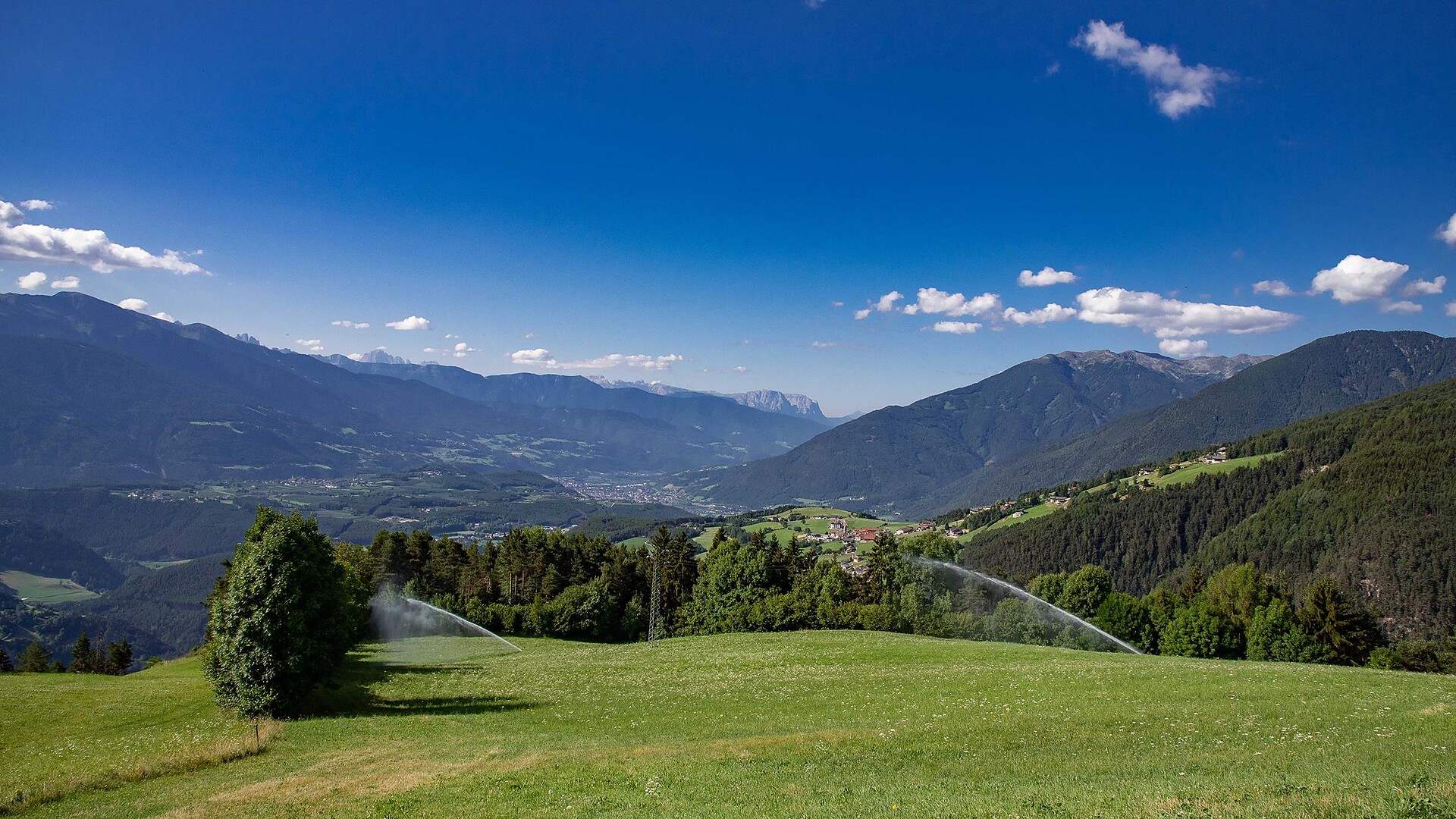 Panorama