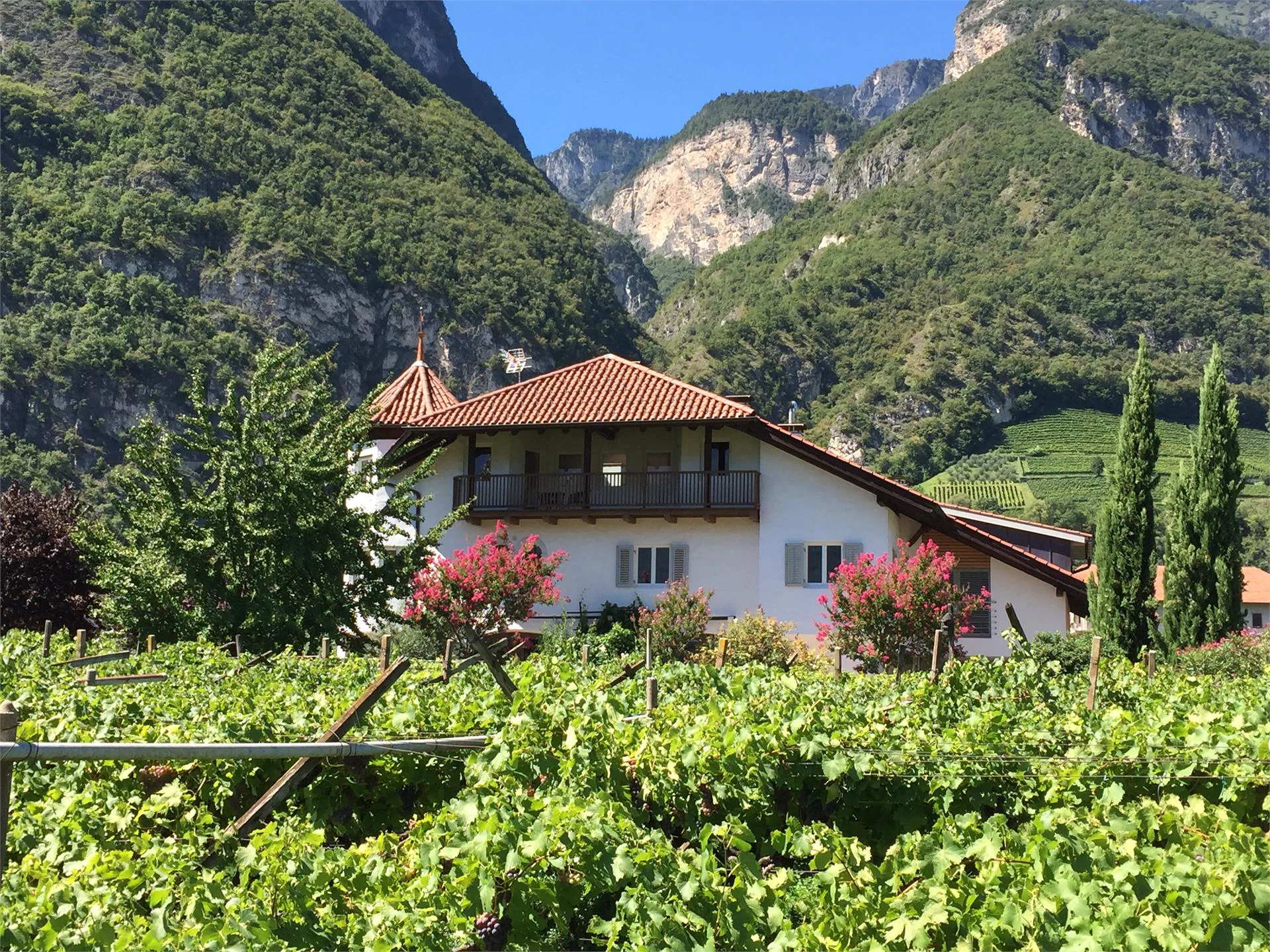 Appartamenti Eichnerhof Magrè sulla Strada del Vino 1 suedtirol.info