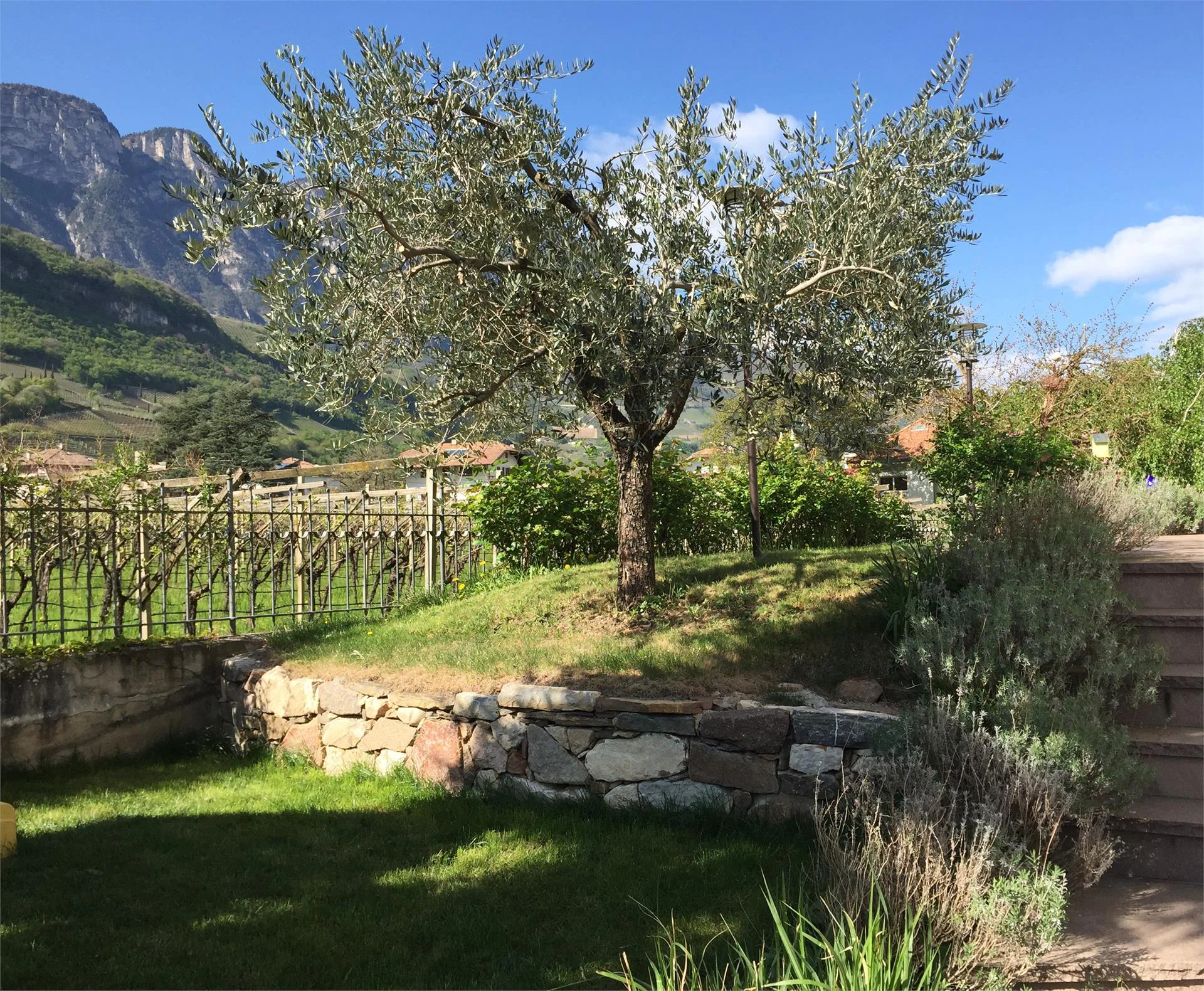 Appartamenti Eichnerhof Magrè sulla Strada del Vino 4 suedtirol.info