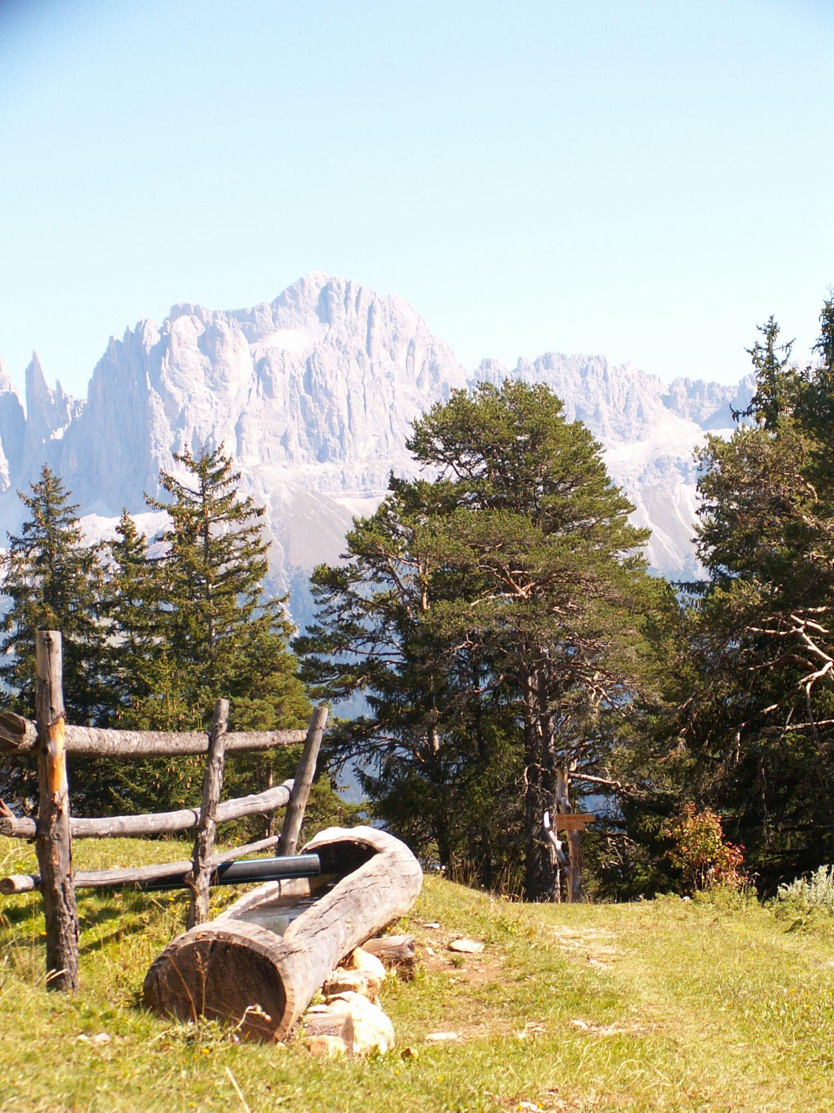 Ferienhaus Leitner Tiers am Rosengarten 6 suedtirol.info
