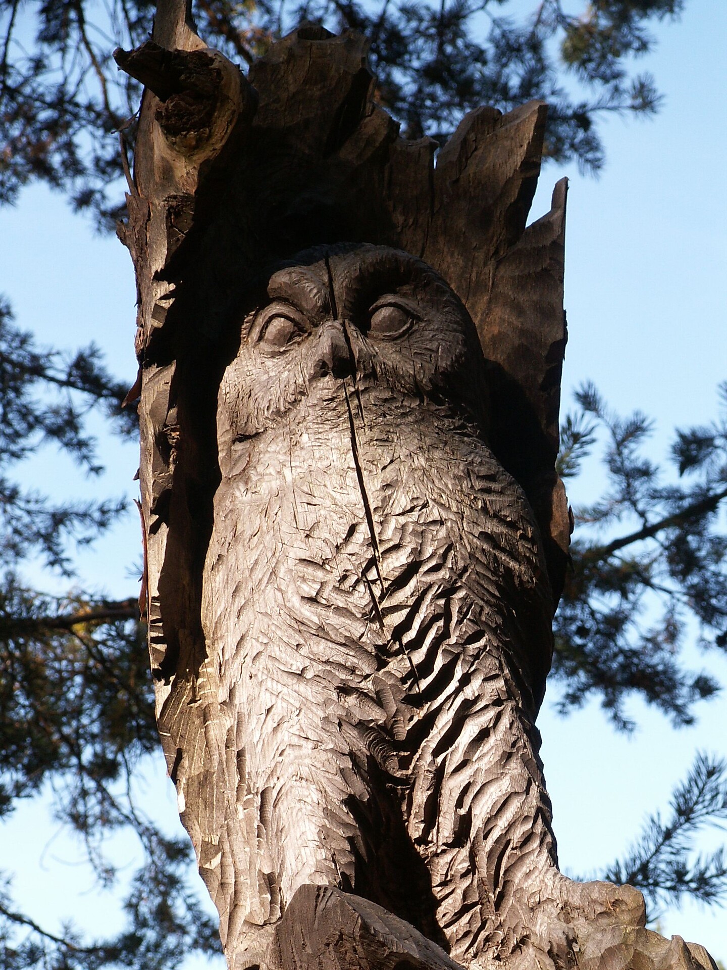 Waldkreaturen