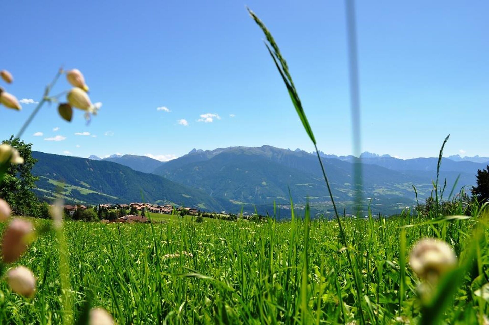 Ferienwohnungen Stocknerhof Mühlbach 6 suedtirol.info