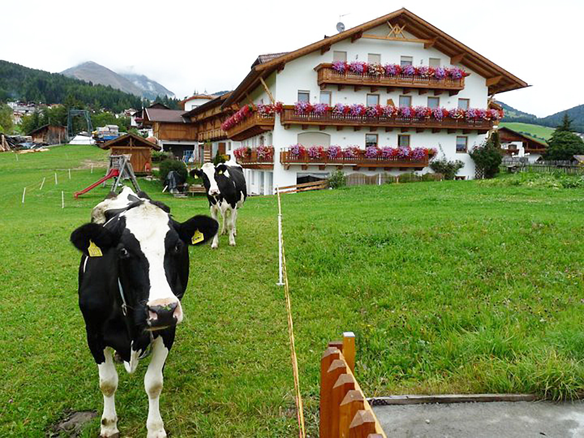 Beigarterhof