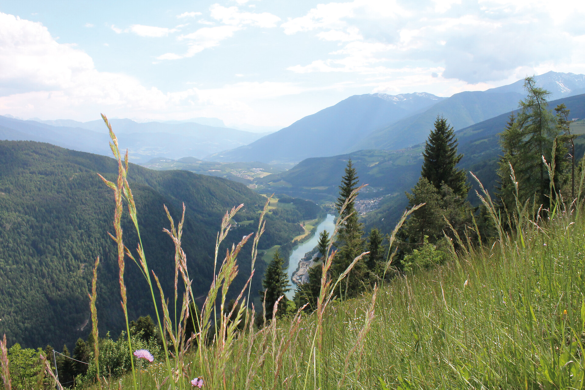 view