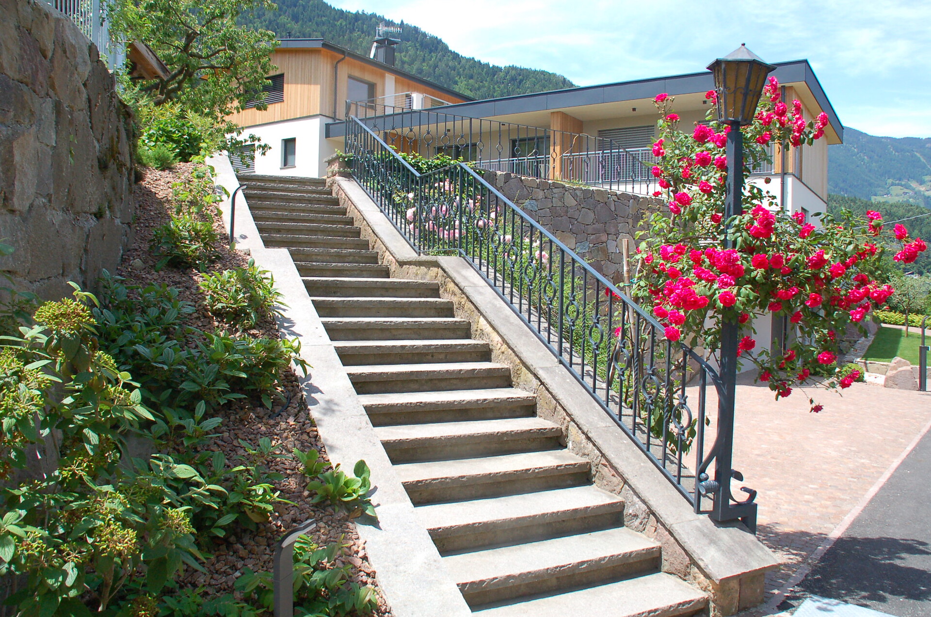 Treppenanlage mit blühender Rose