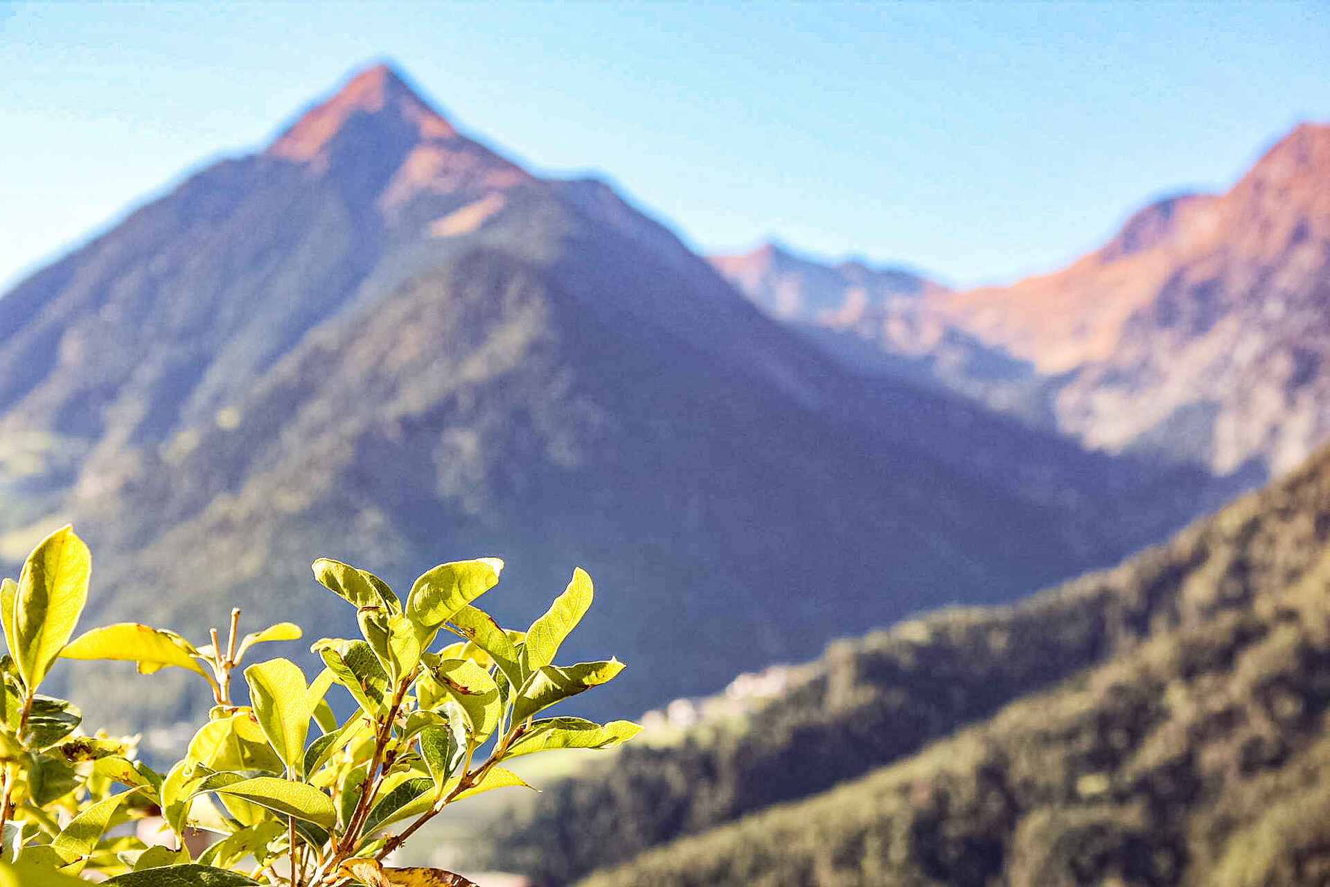 vista dall'appartamento