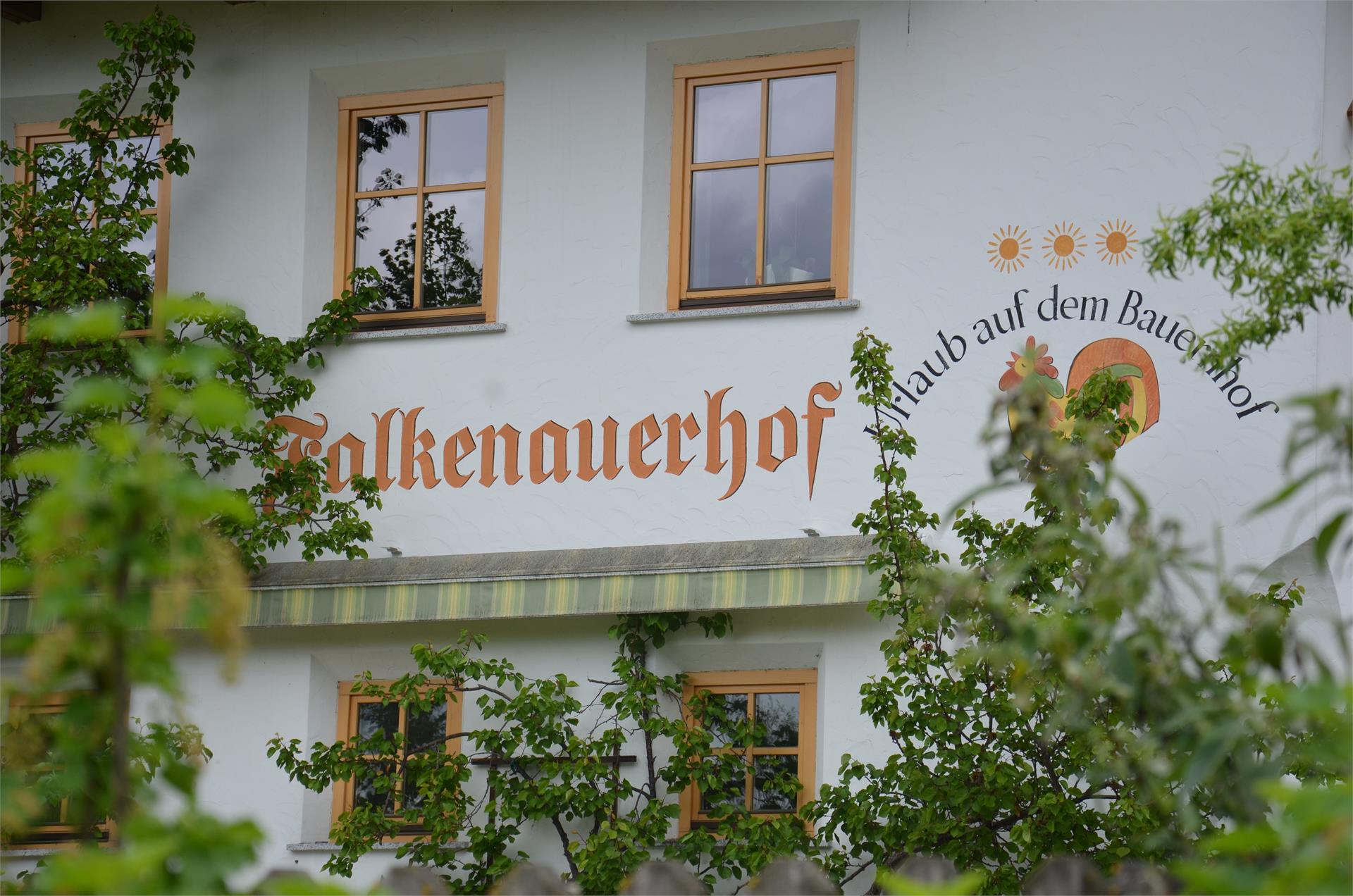 Falkenau Kiens 8 suedtirol.info