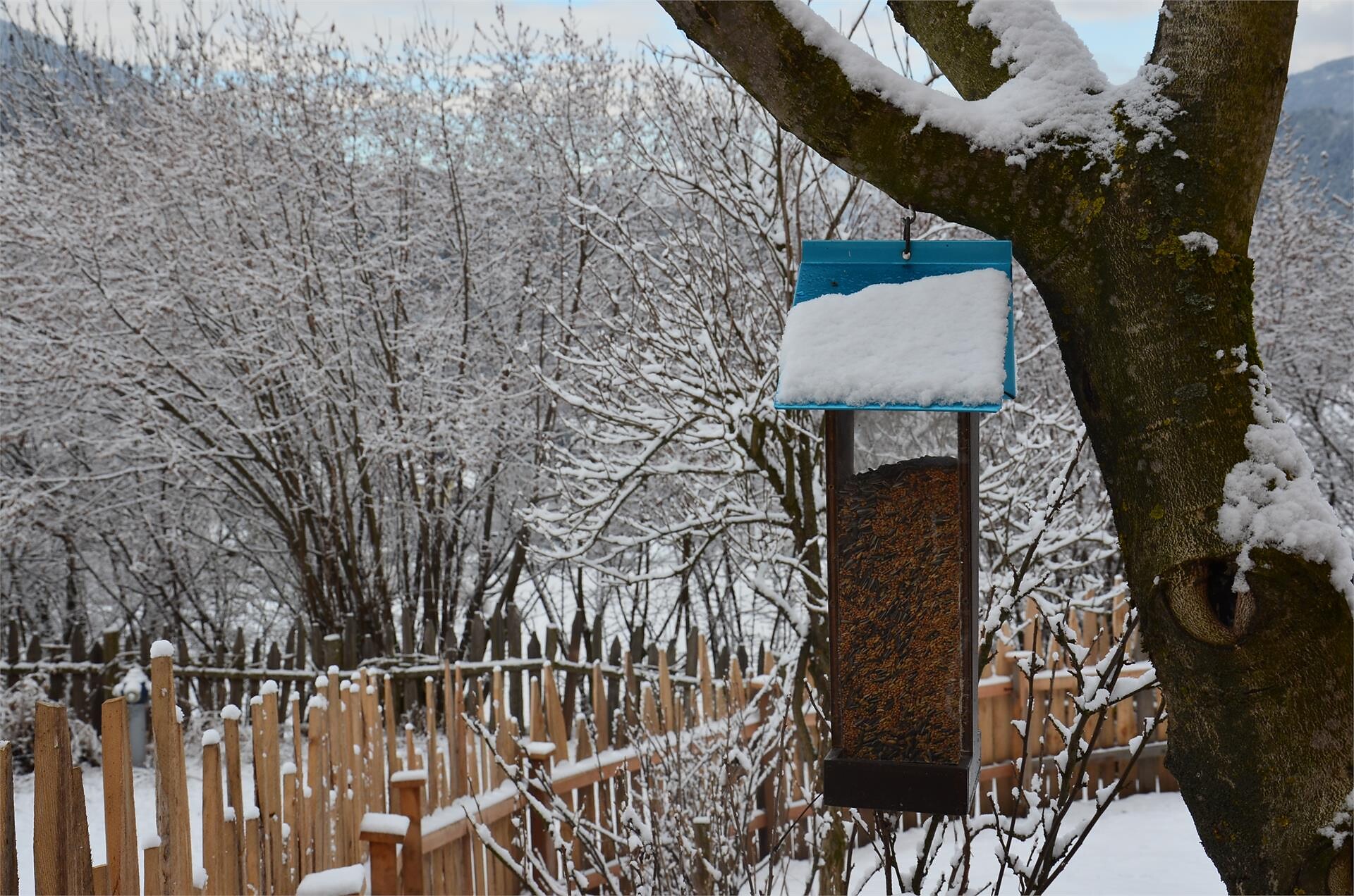 Winter