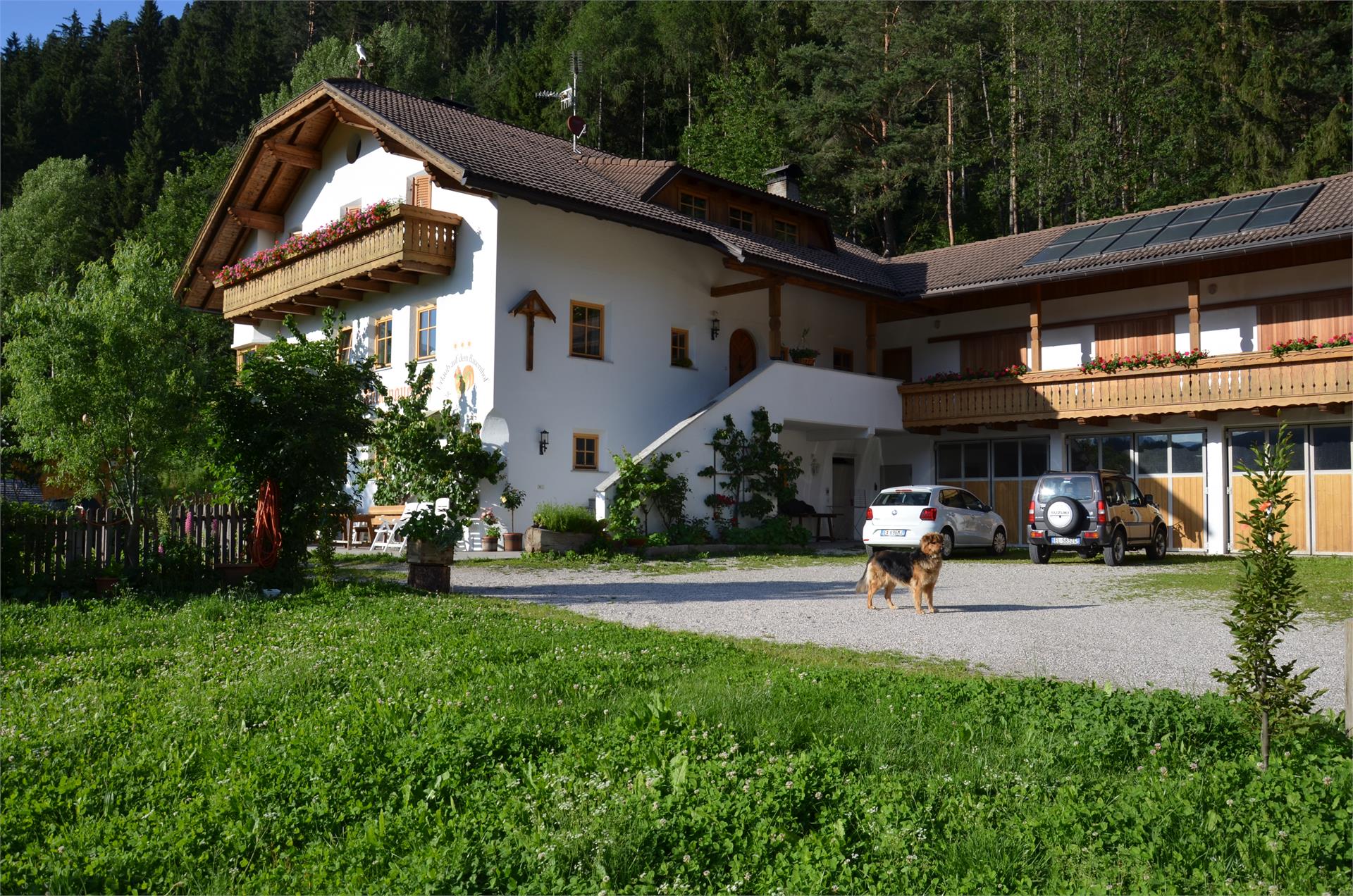 Falkenau Kiens 3 suedtirol.info