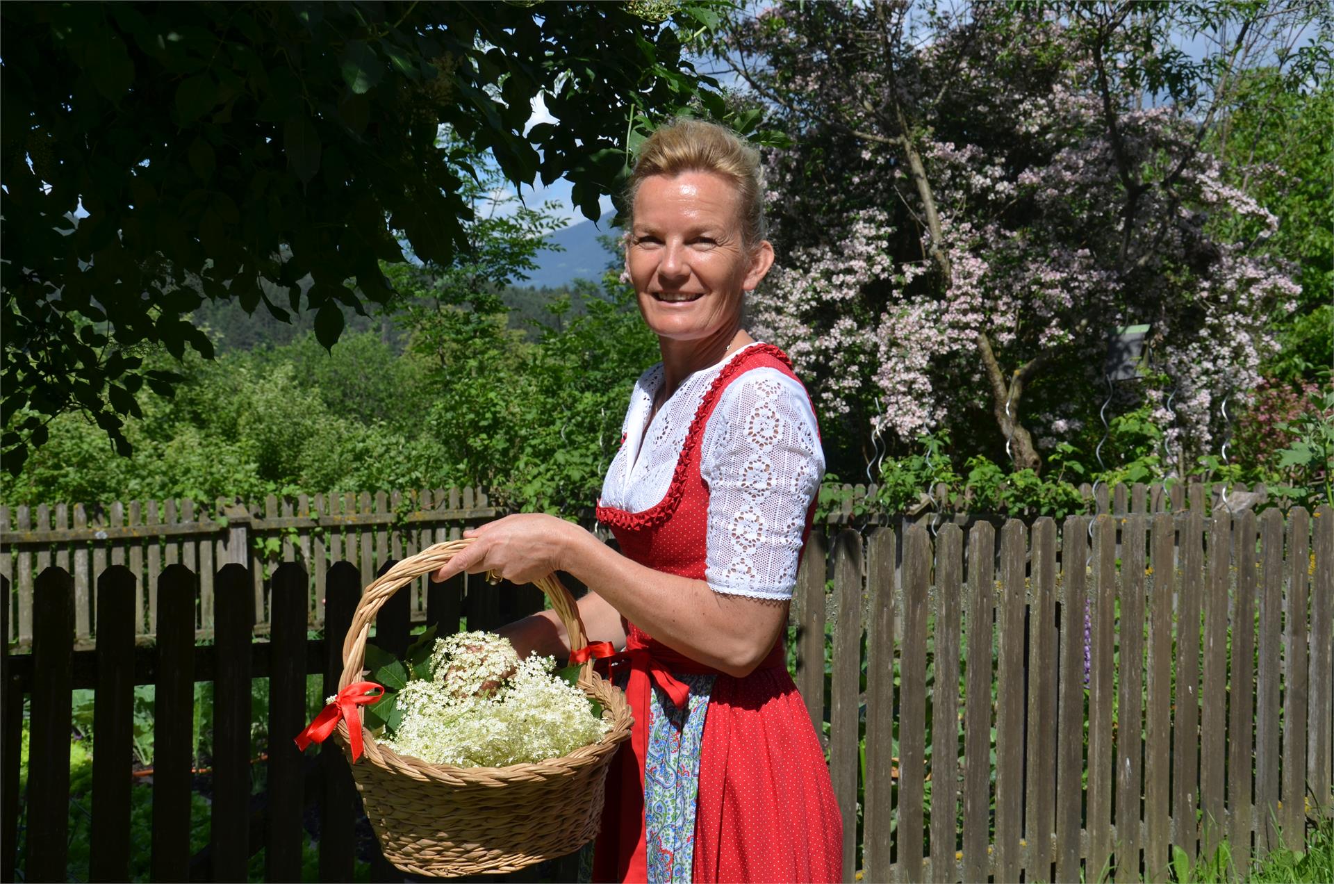 Falkenau Kiens 17 suedtirol.info