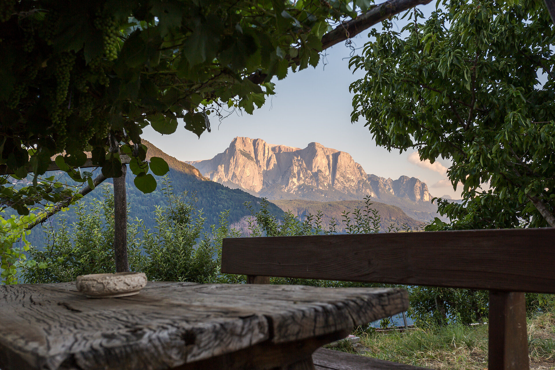 Ausblick
