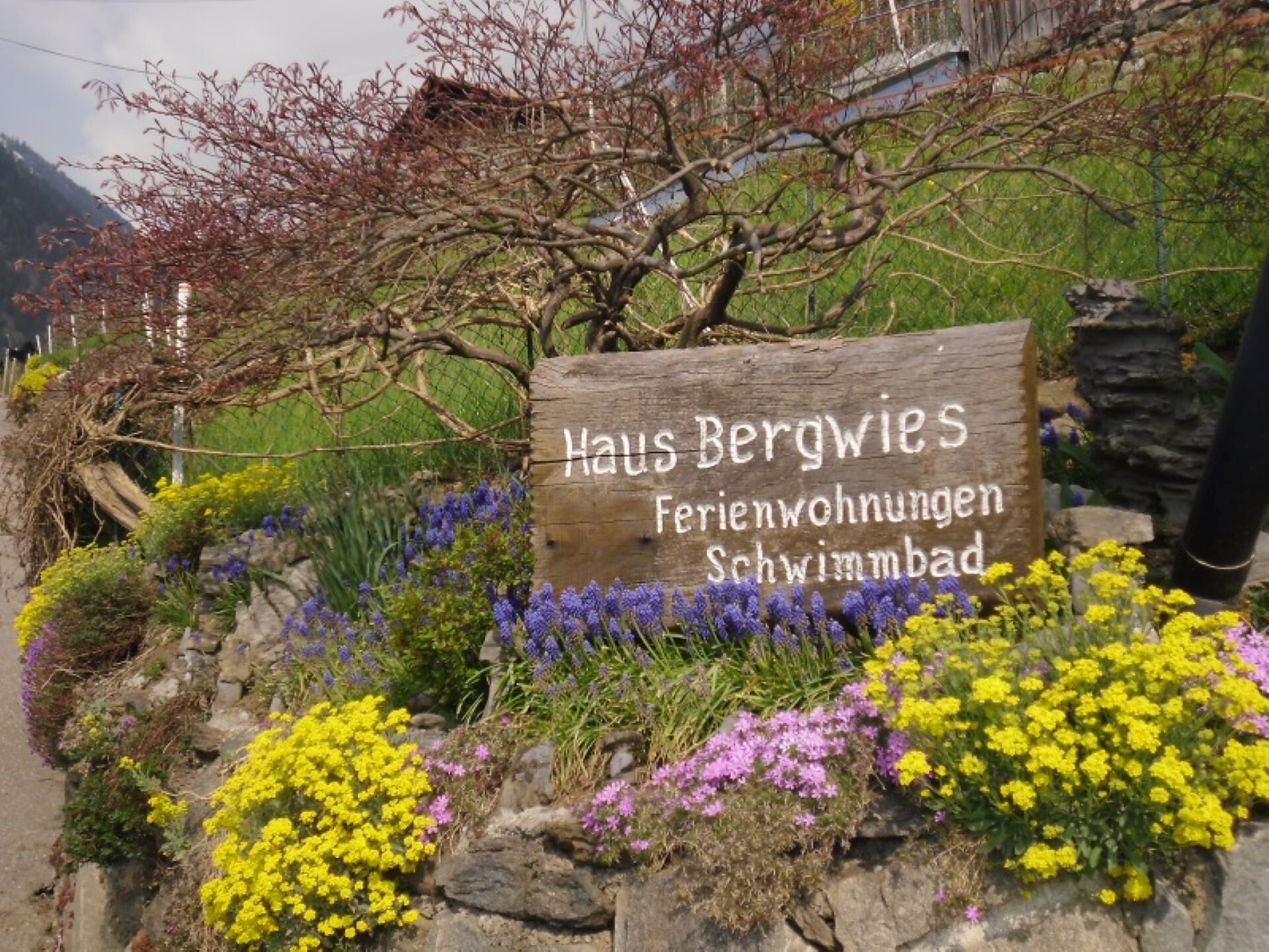 Apartments Haus Bergwies