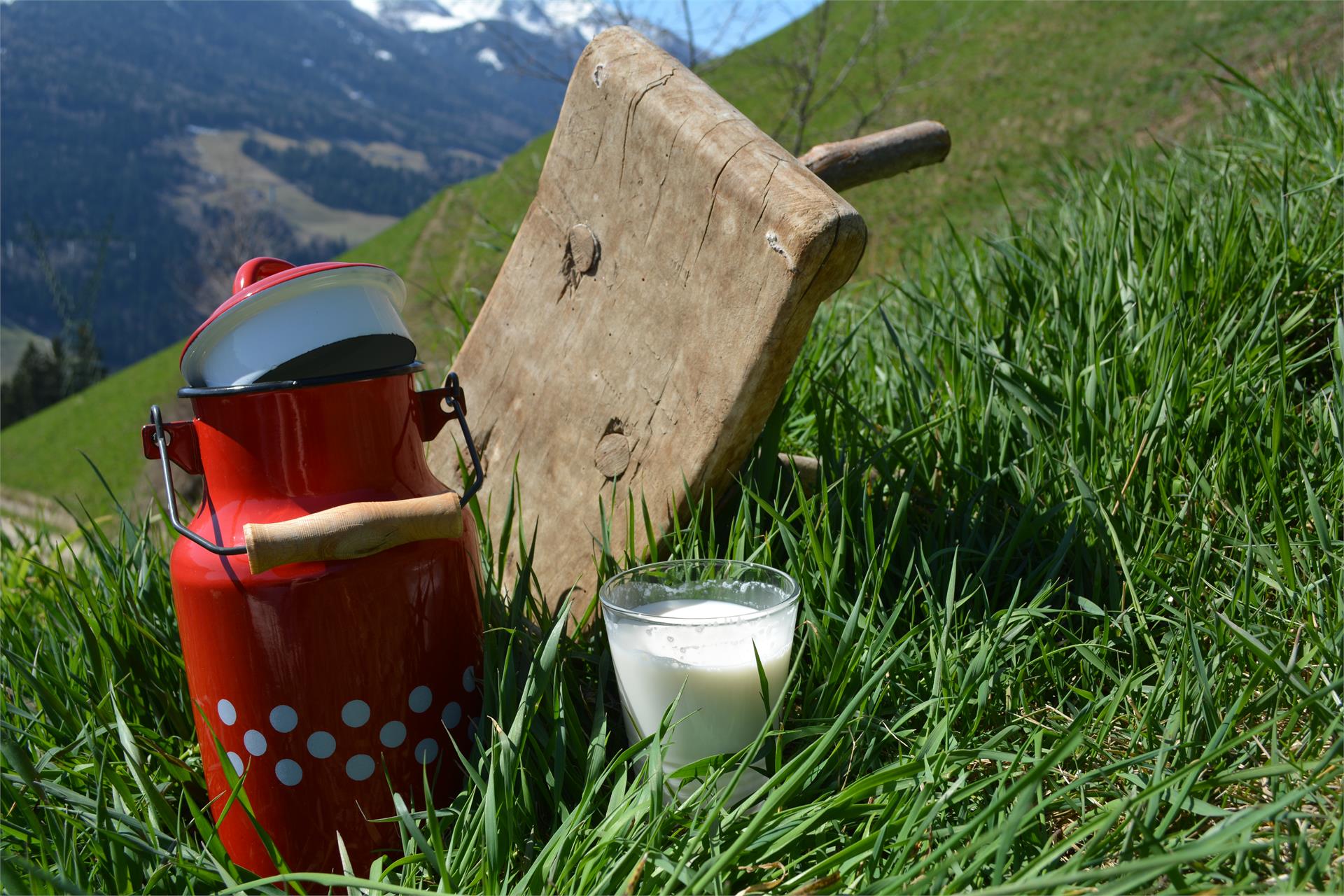 Ferienwohnungen Wegleit St.Pankraz/San Pancrazio 3 suedtirol.info