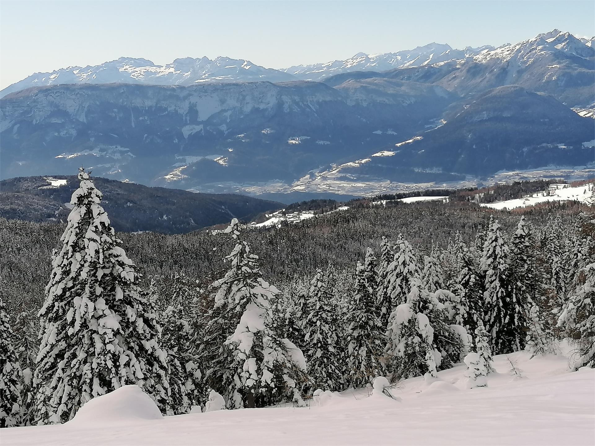 Appartamento Alber Edith Verano 24 suedtirol.info