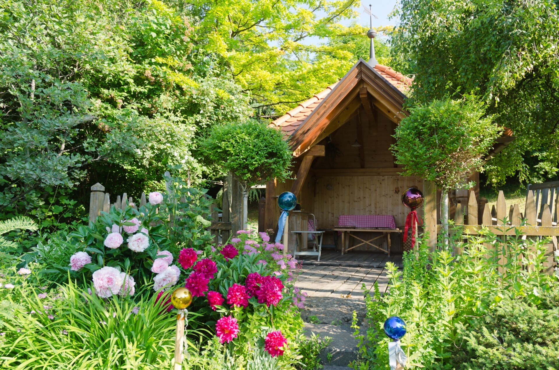 The garden