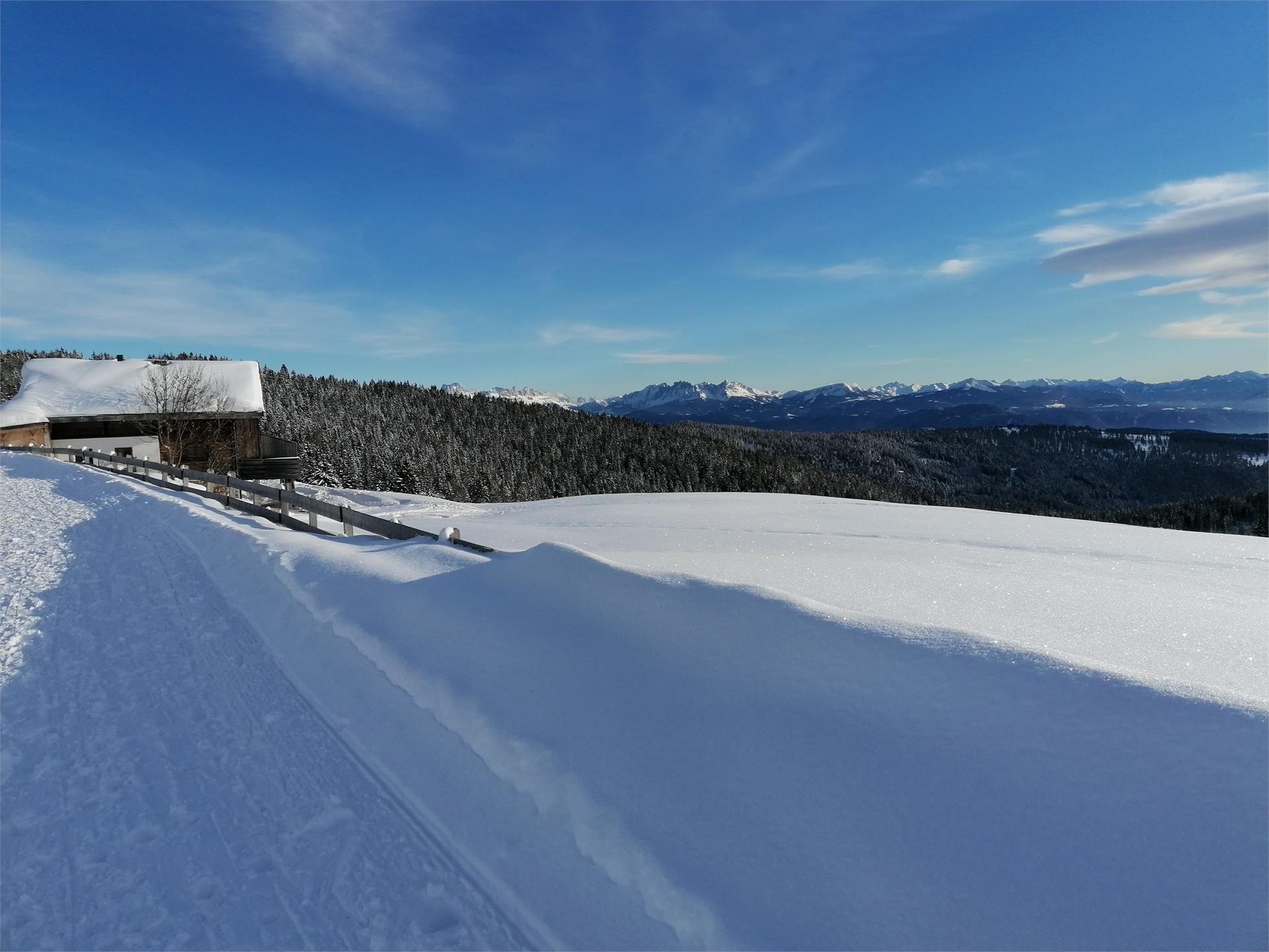 Appartamento Alber Edith Verano 22 suedtirol.info