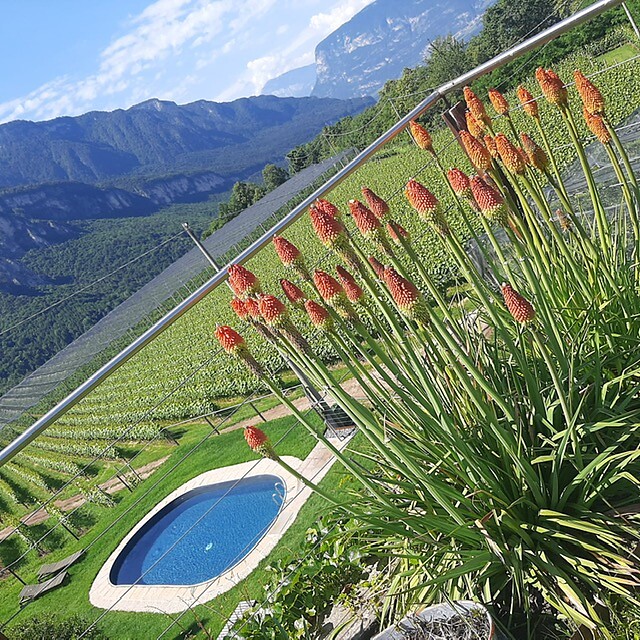 Engadiner Apartments & Wines