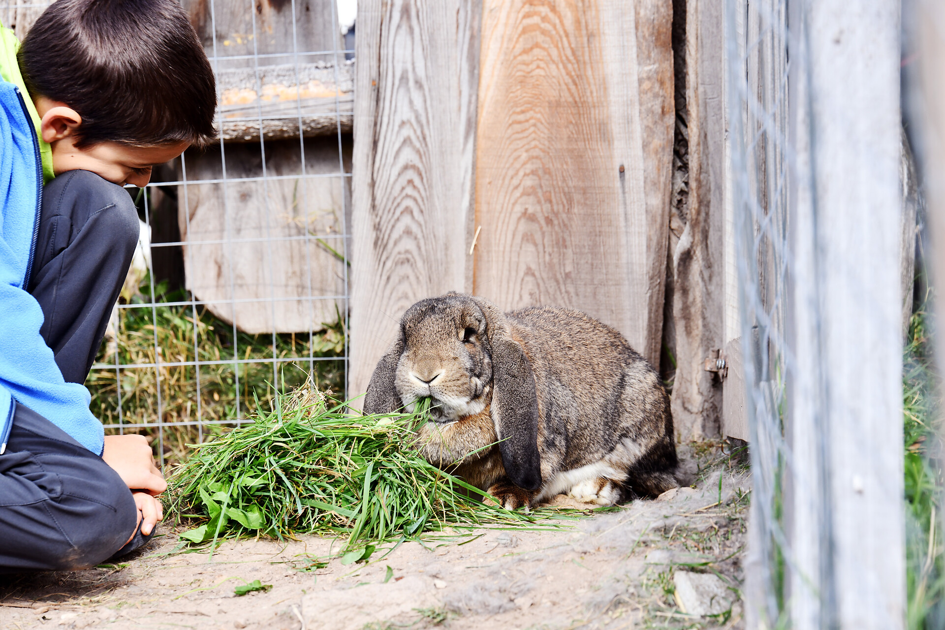 Tiere erleben