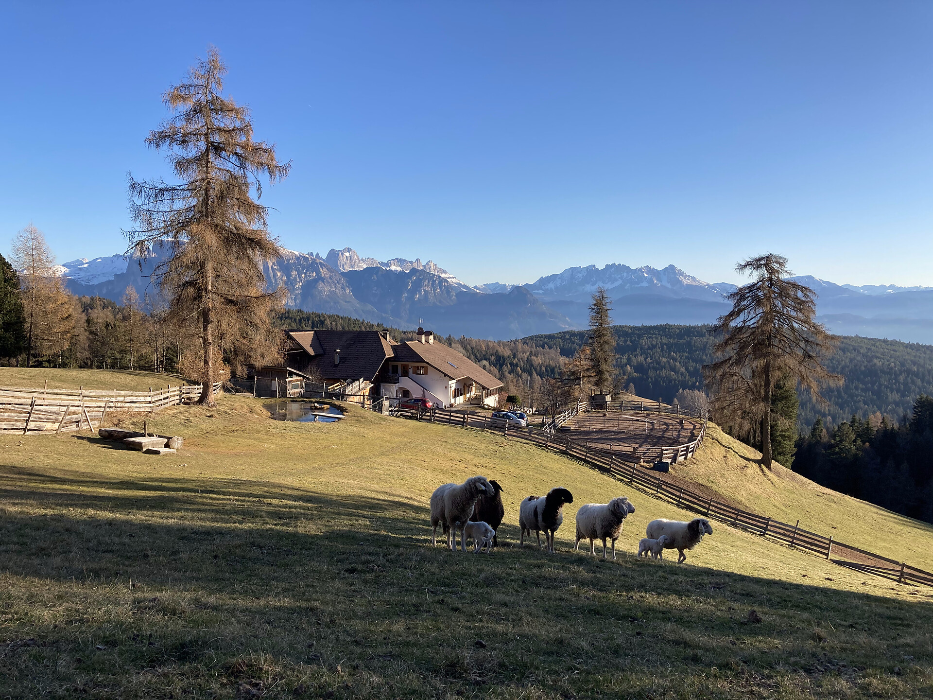 Flachenhof und Dolomiten