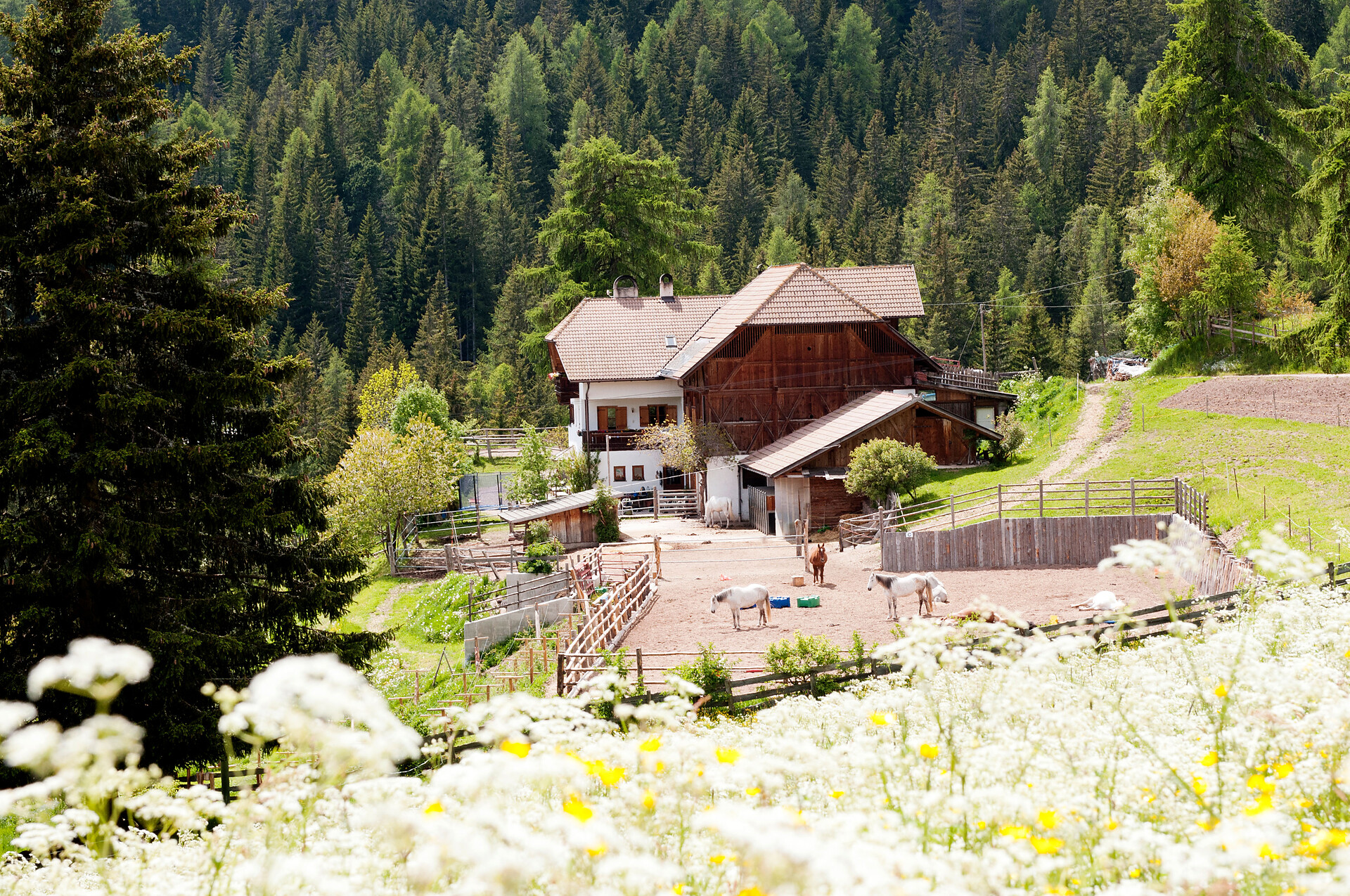 Frühling