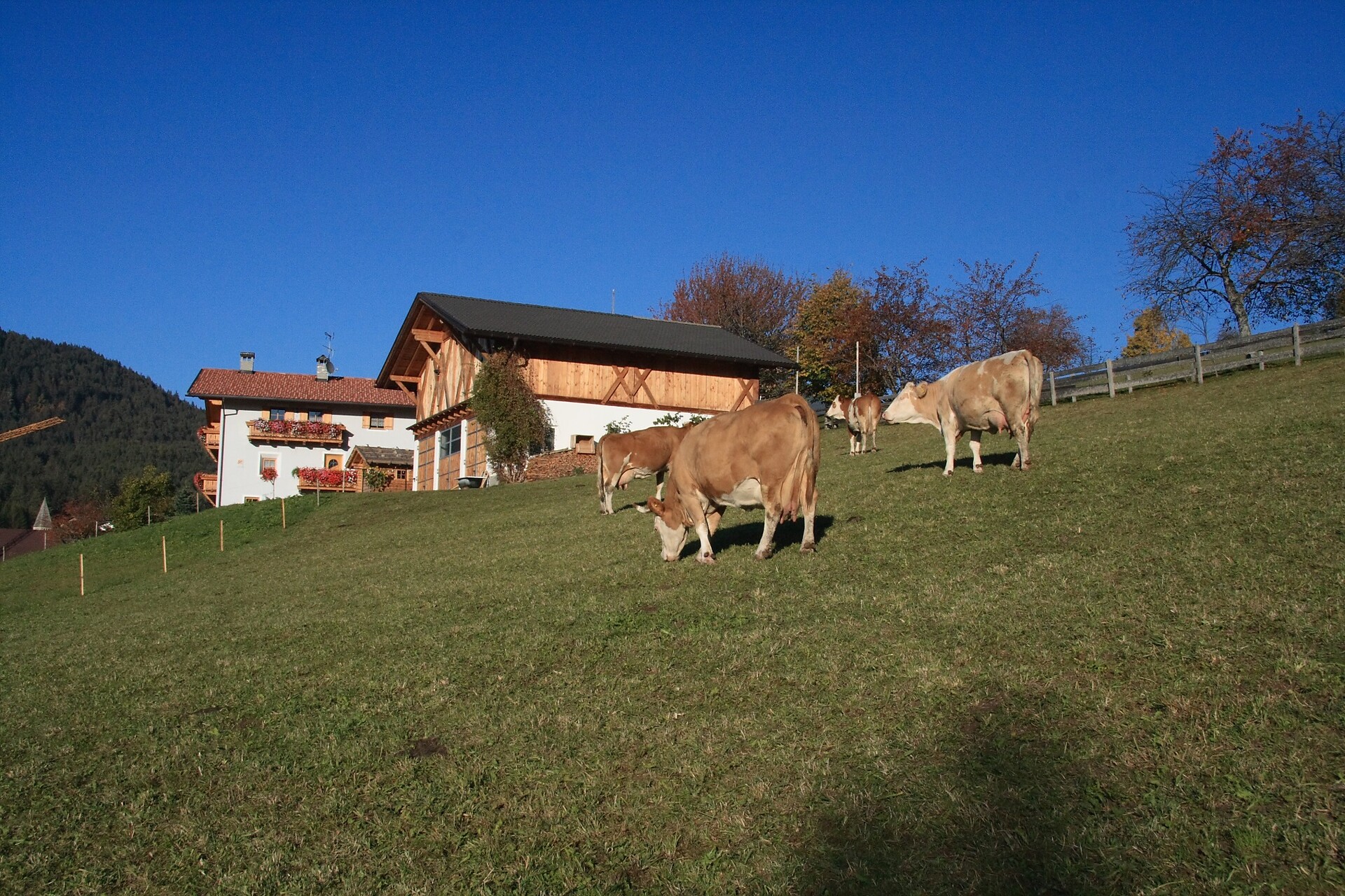 Fillhof