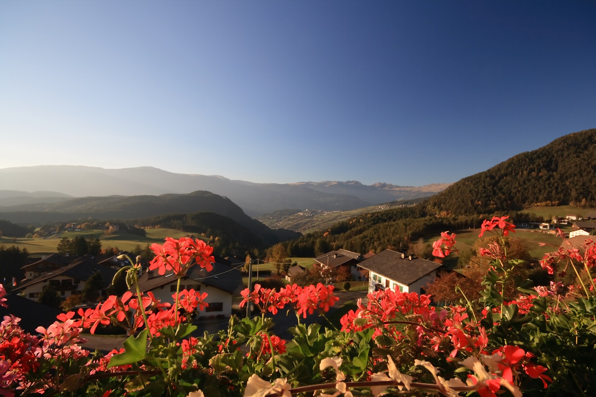 Panorama