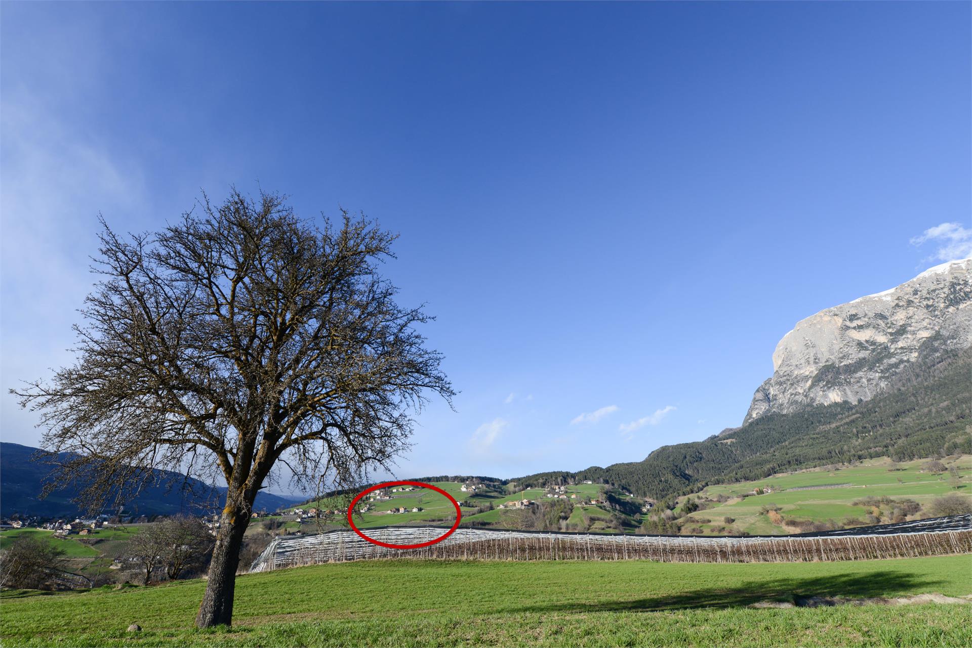Funtnatscherhof Völs am Schlern 4 suedtirol.info