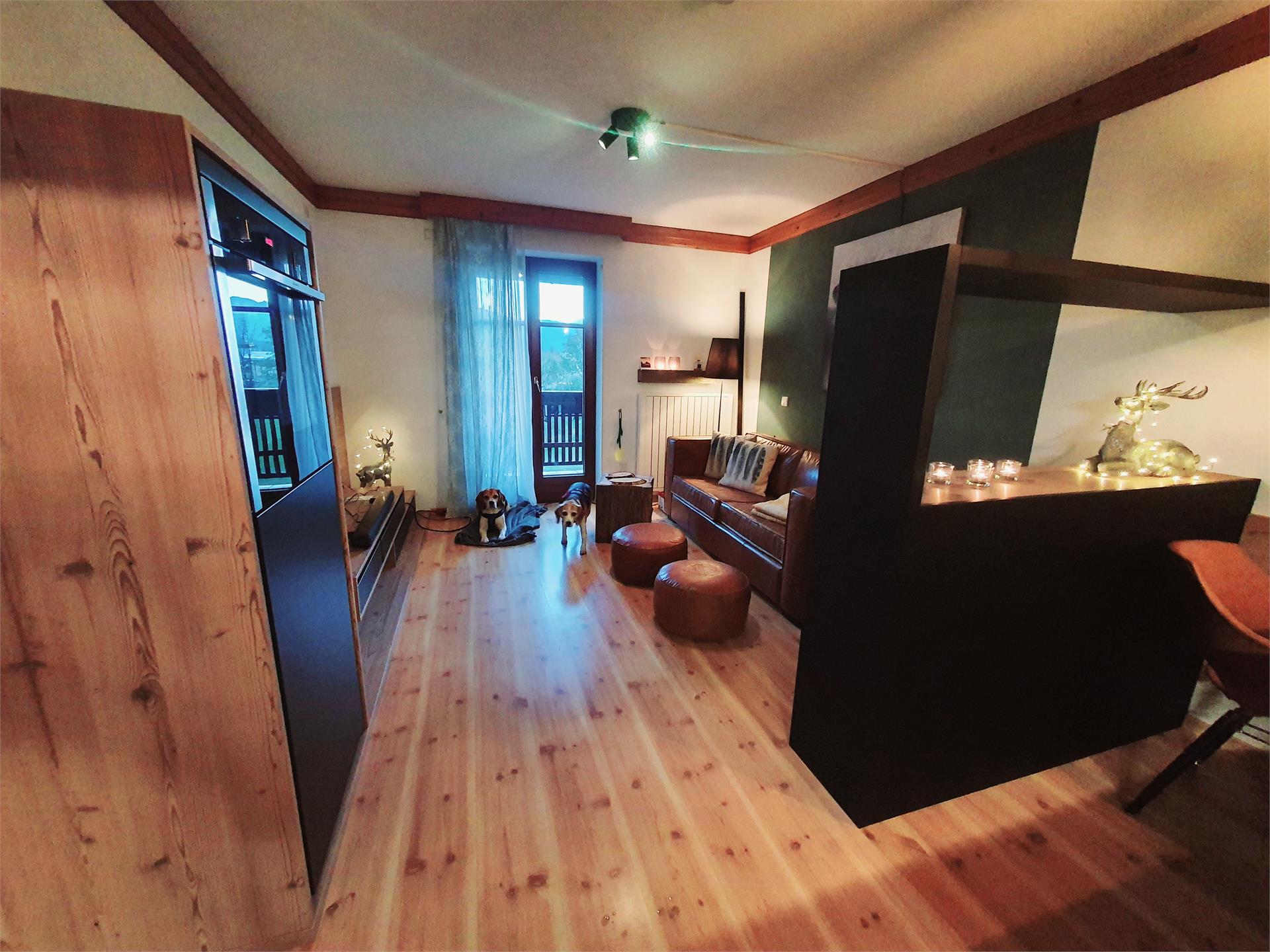 Appartamento Koriander Valle di Casies 3 suedtirol.info