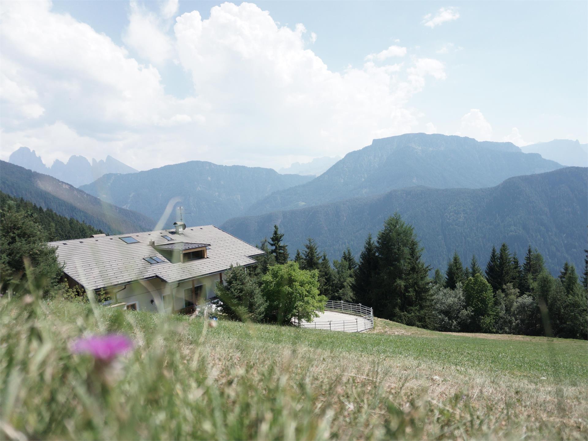 Funtnatsch Lajen 1 suedtirol.info