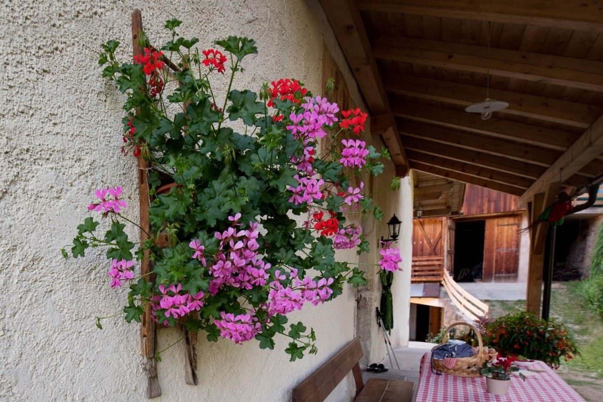 Sicht zum Stadel, Fingerhof