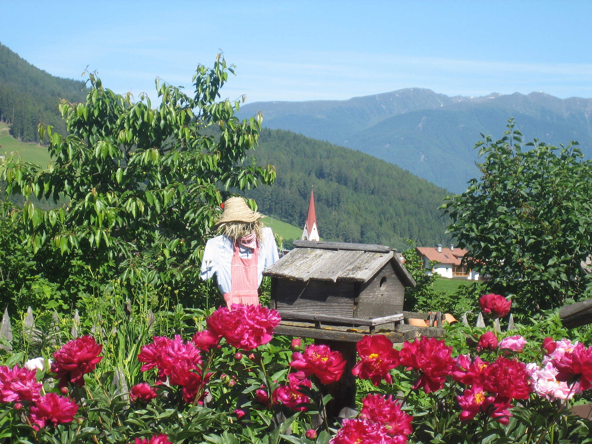 Färberhof
