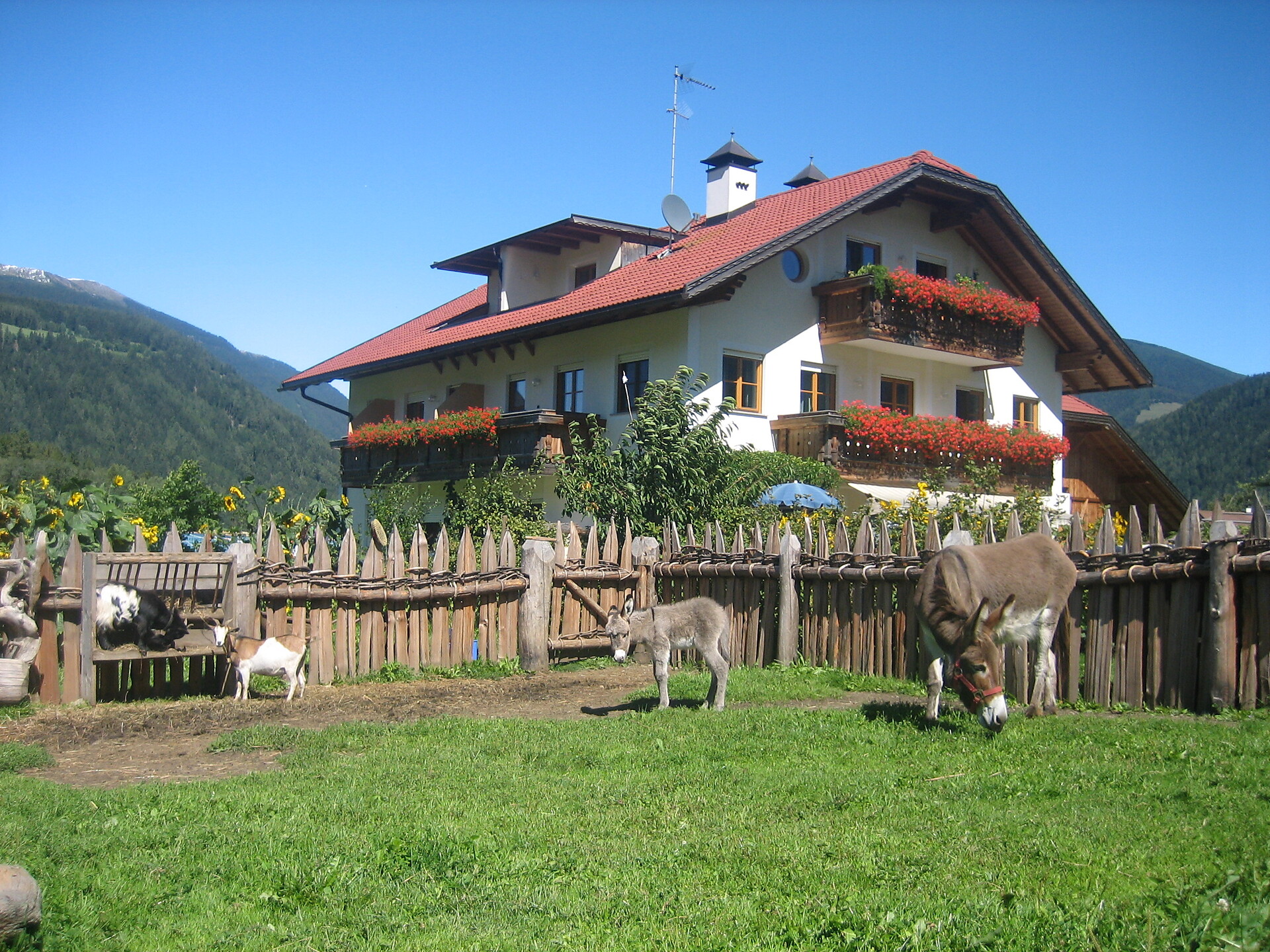 Färberhof