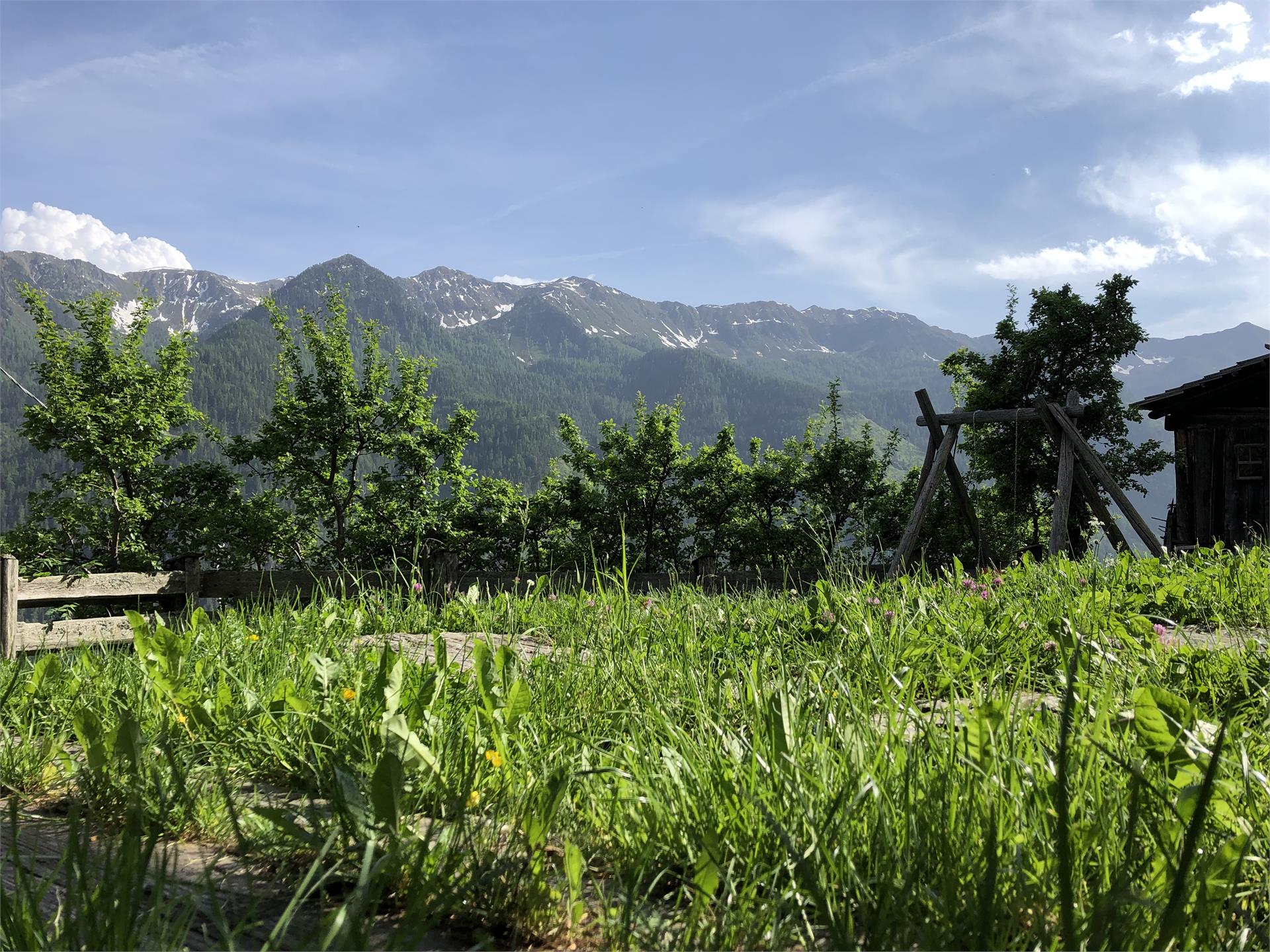 Ferienhaus Gasserhof Mühlwald/Selva dei Molini 26 suedtirol.info