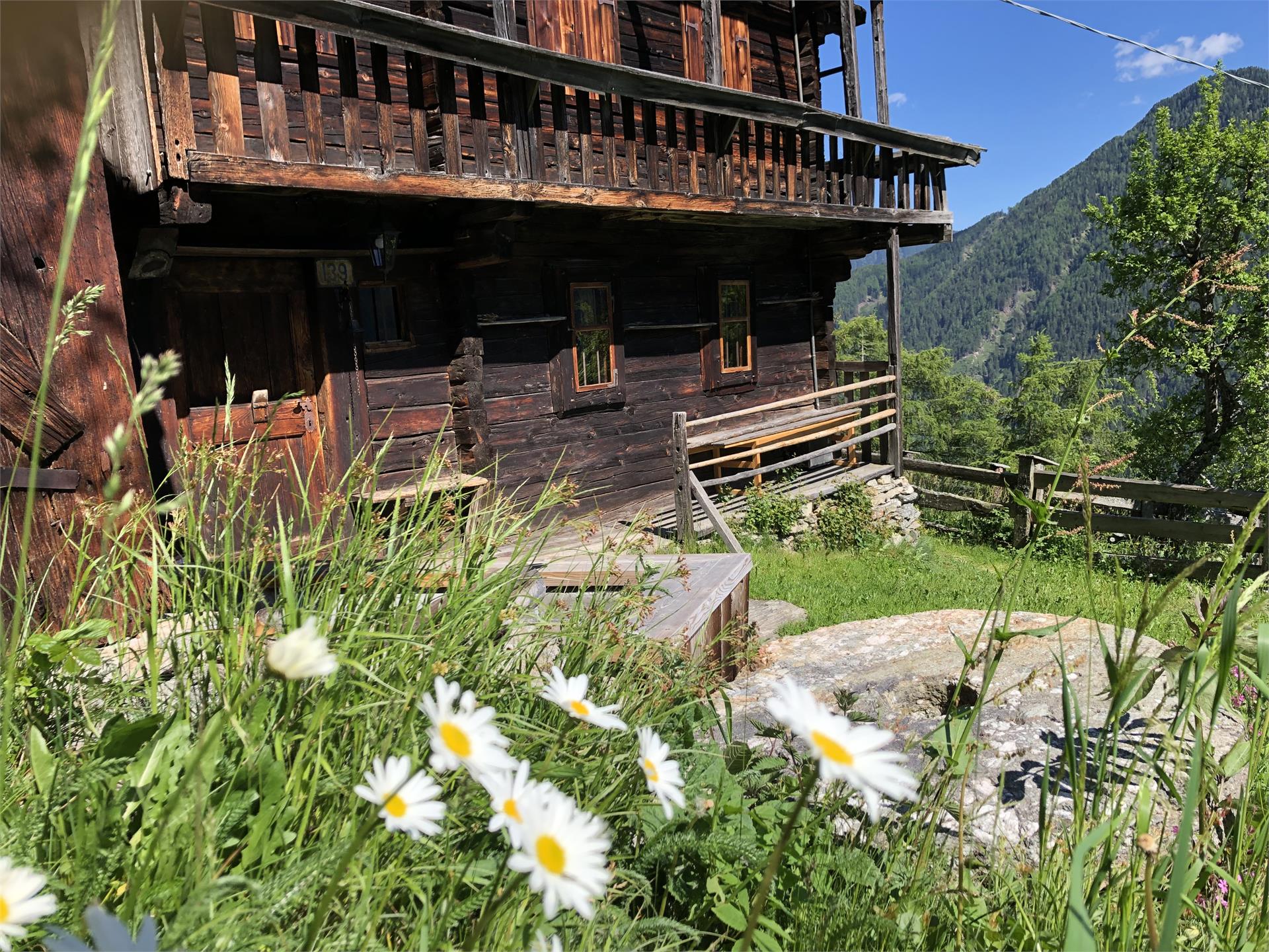 Ferienhaus Gasserhof Mühlwald/Selva dei Molini 3 suedtirol.info