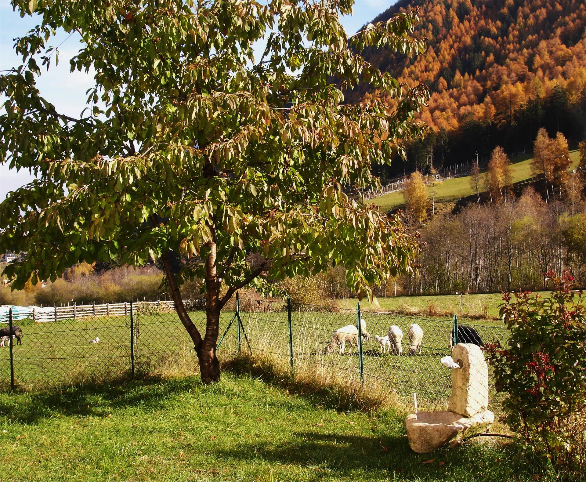 Appartamento Auhaus Martello 16 suedtirol.info