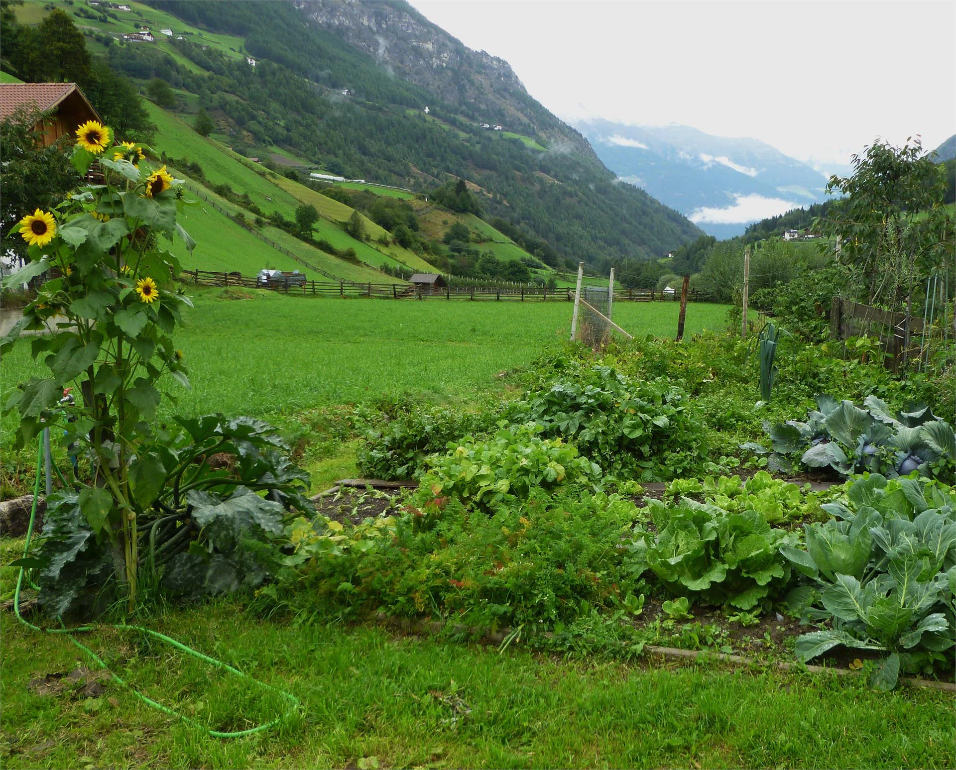 Appartamento Auhaus Martello 5 suedtirol.info