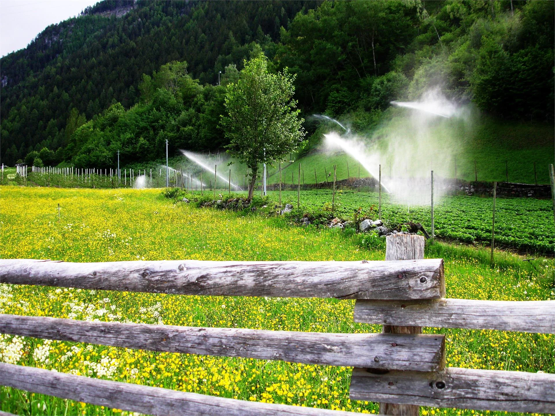 Appartamento Auhaus Martello 17 suedtirol.info