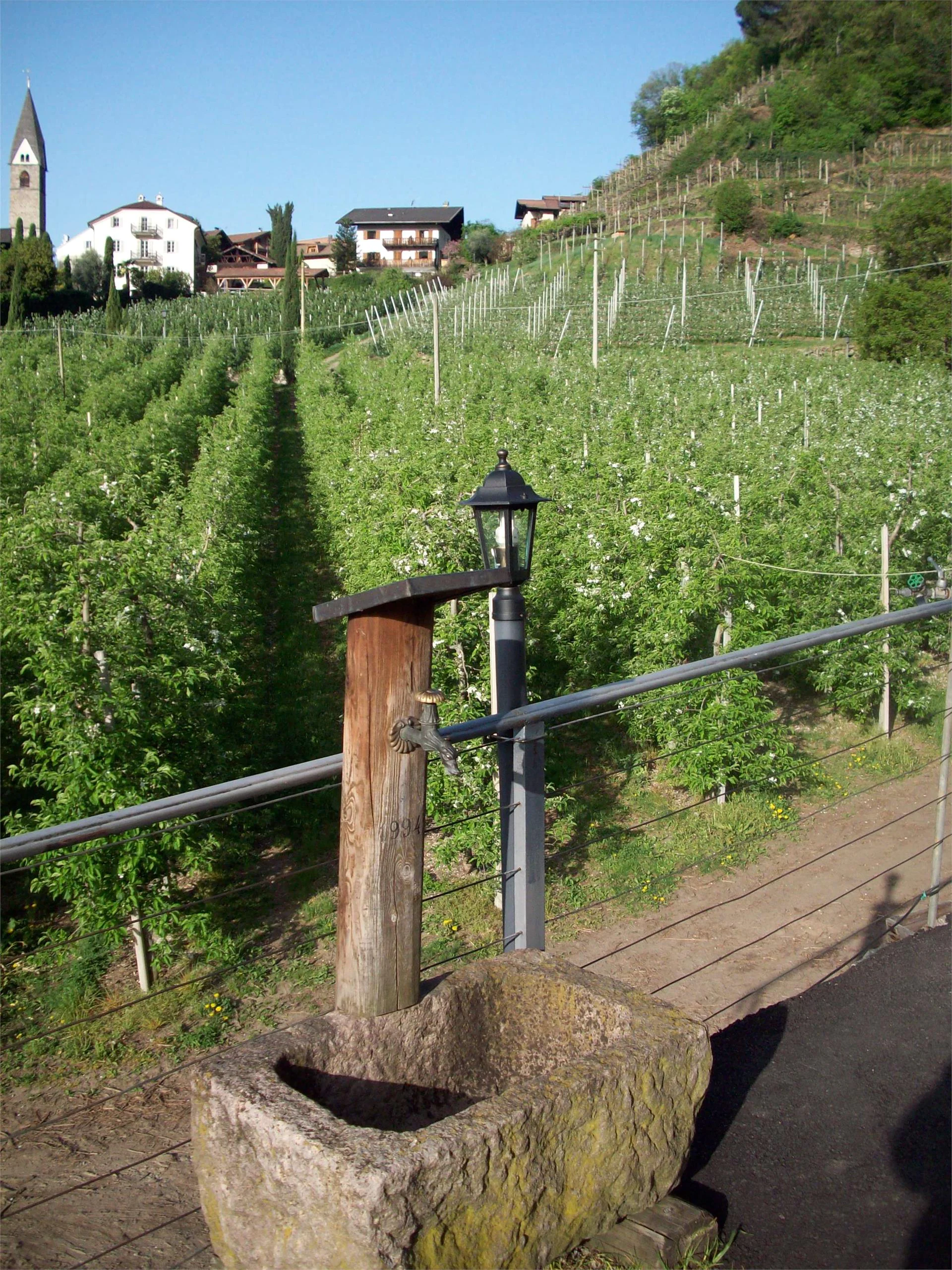 Appartamenti Winklerhof Lagundo 5 suedtirol.info