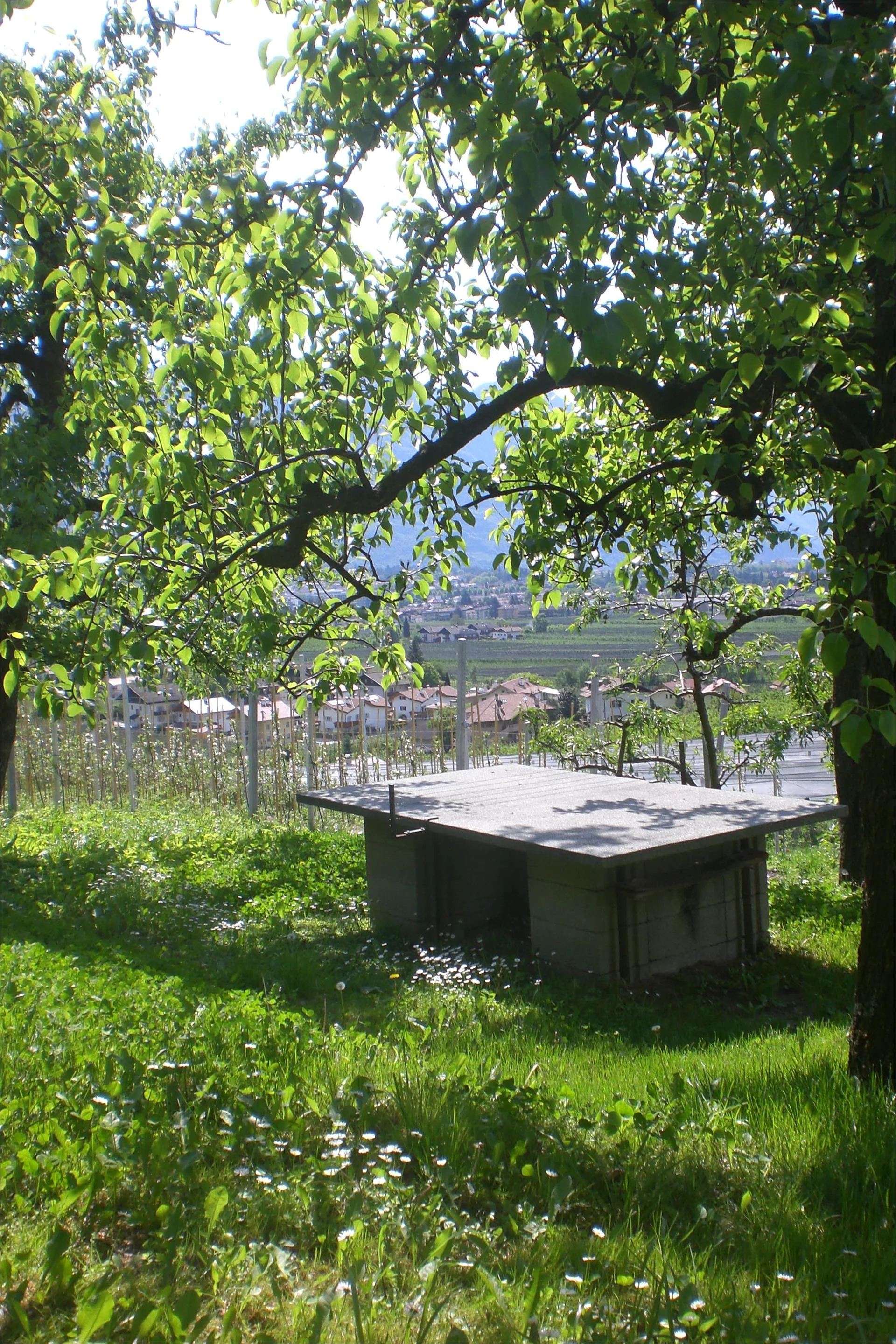 Appartamenti Winklerhof Lagundo 8 suedtirol.info