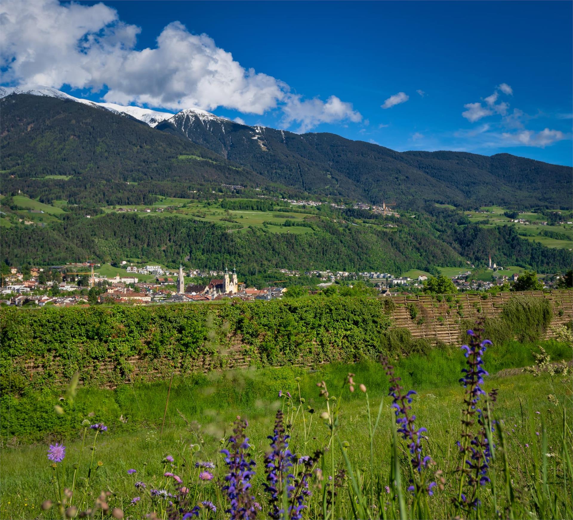 Ferienwohnung Burgfrieden Brixen 17 suedtirol.info