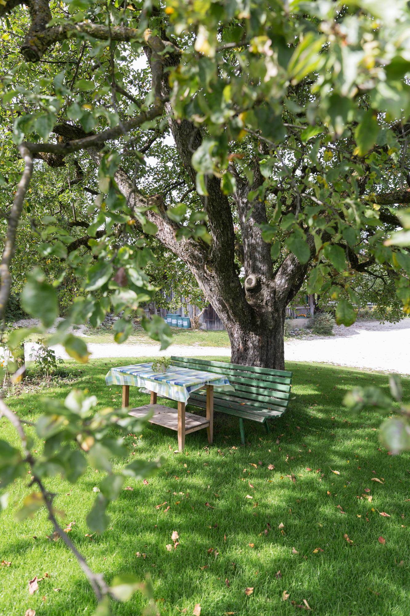 FW Bachlerhof Bruneck/Brunico 13 suedtirol.info