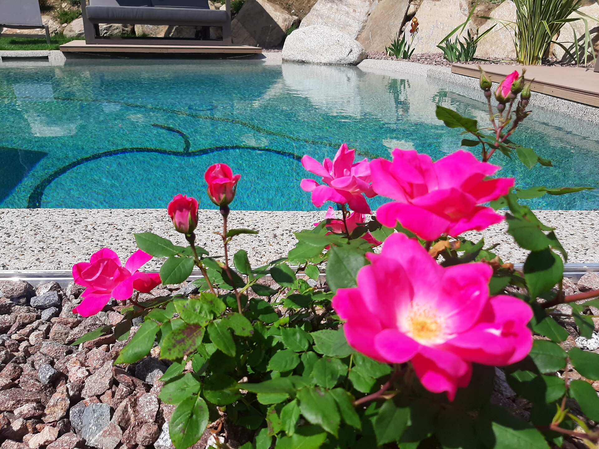 Holiday on a farm / Apartments Feldhof