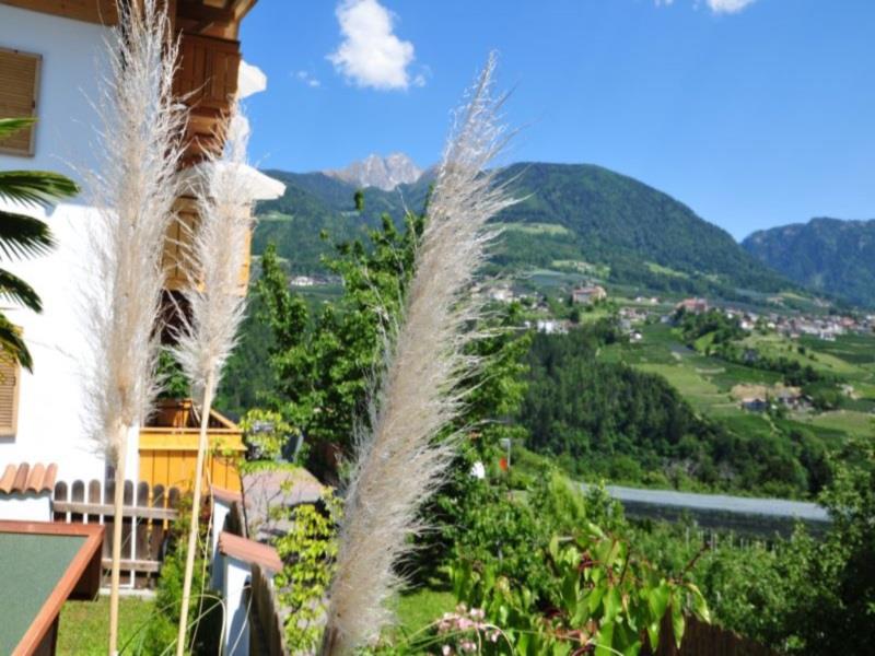 Agriturismo / Appartamenti Feldhof Caines 20 suedtirol.info
