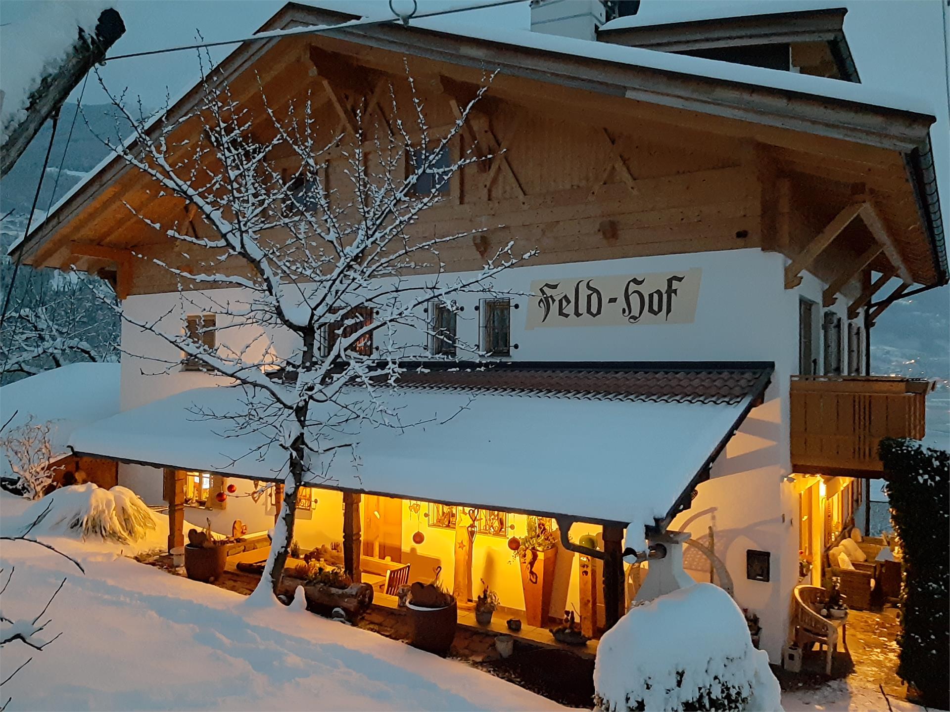 Agriturismo / Appartamenti Feldhof Caines 28 suedtirol.info