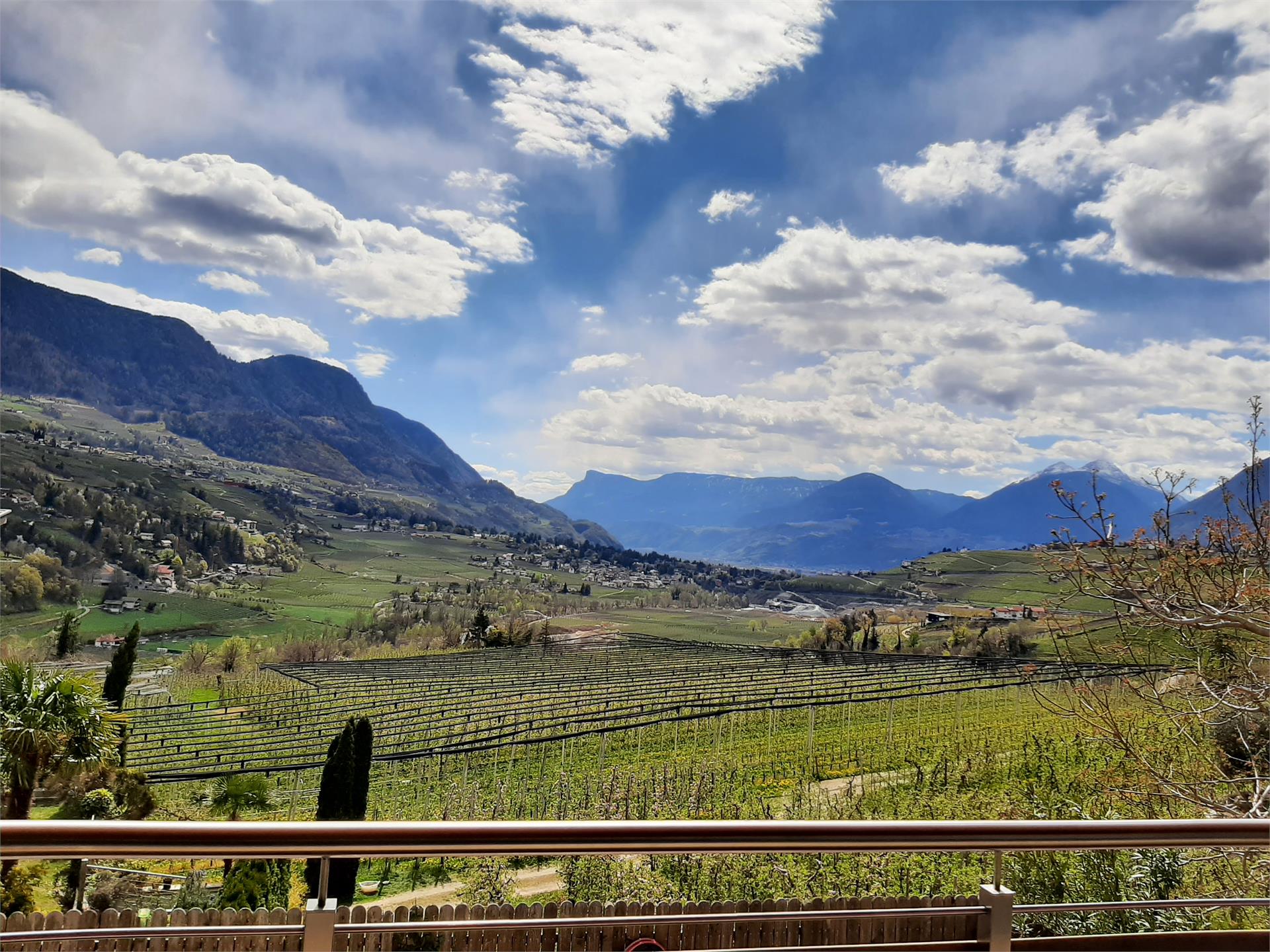 Agriturismo / Appartamenti Feldhof Caines 1 suedtirol.info